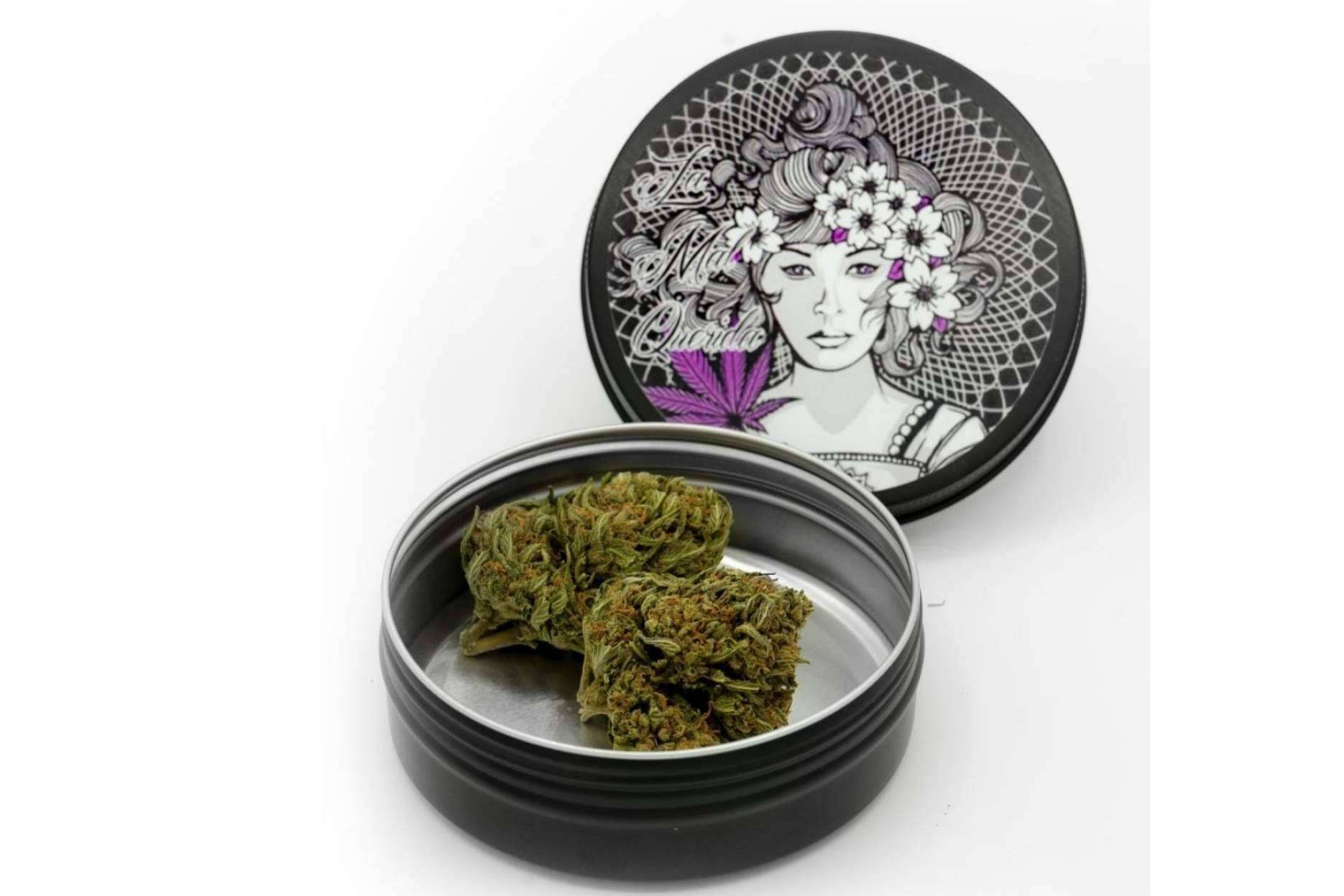 Comprar cogollos CBD 100% legales es posible en la tienda online La Mal Querida