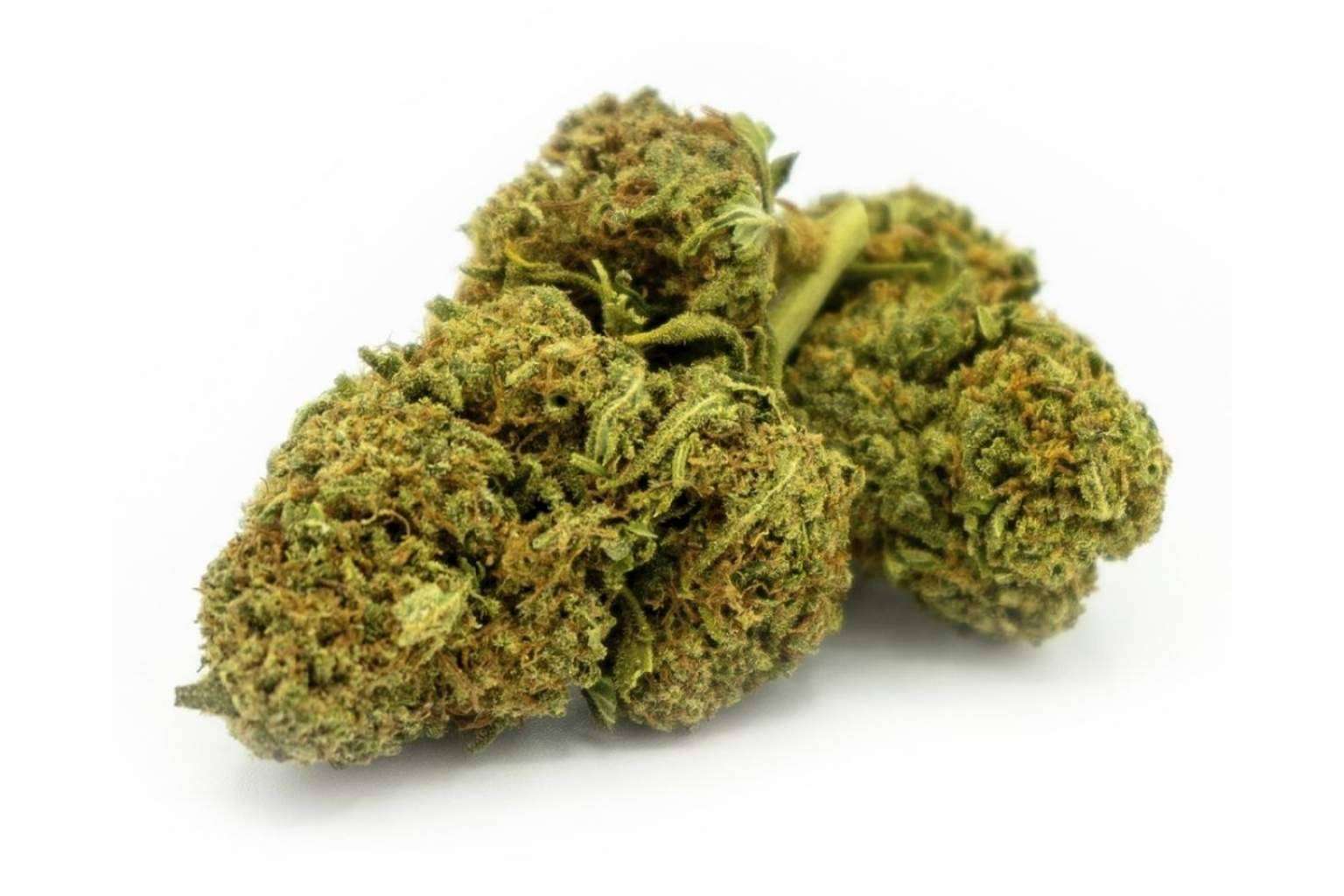 ¿Qué es el CBD? La Mal Querida