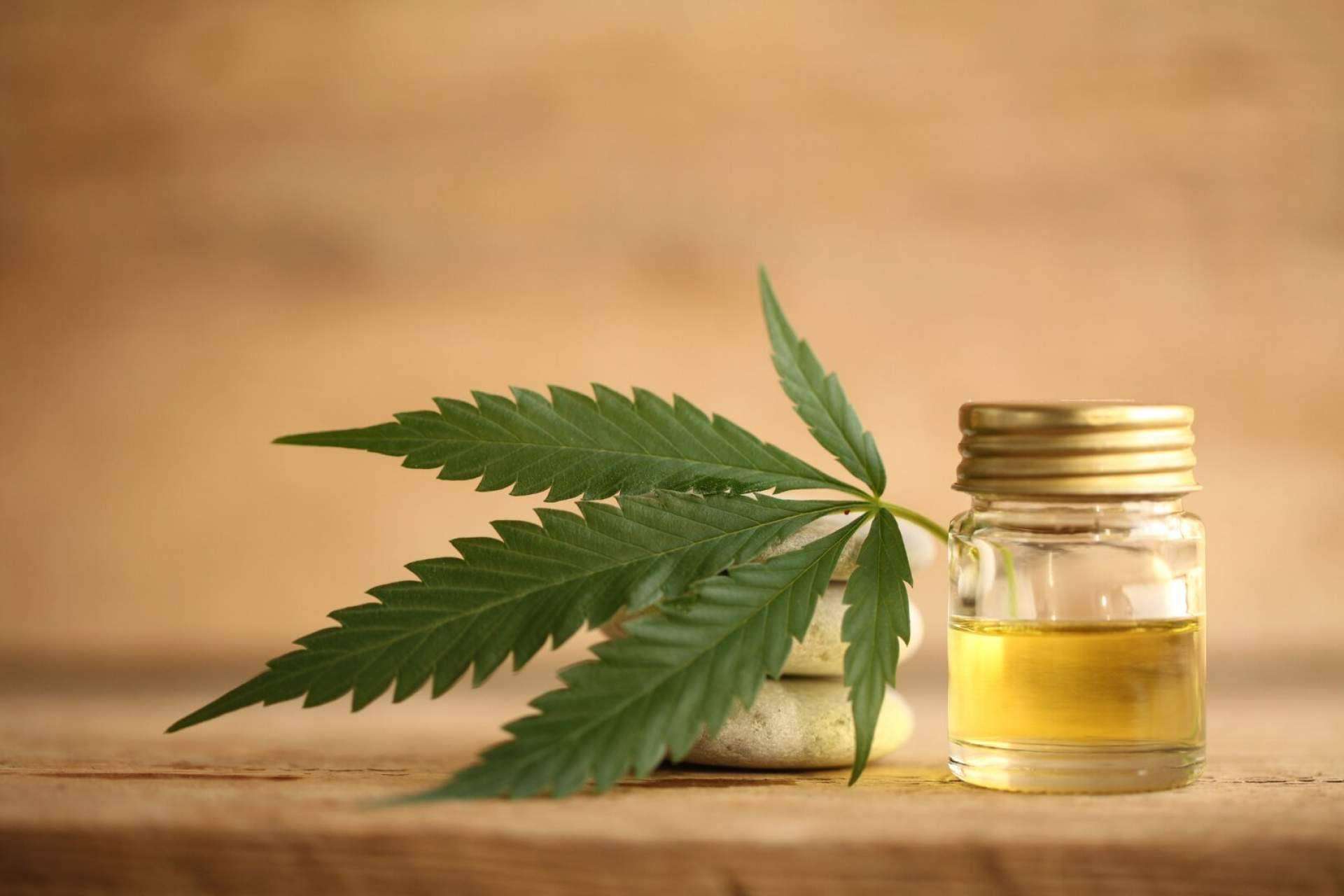 Aceite CBD: todo lo que se debe saber, por De Pata Verde