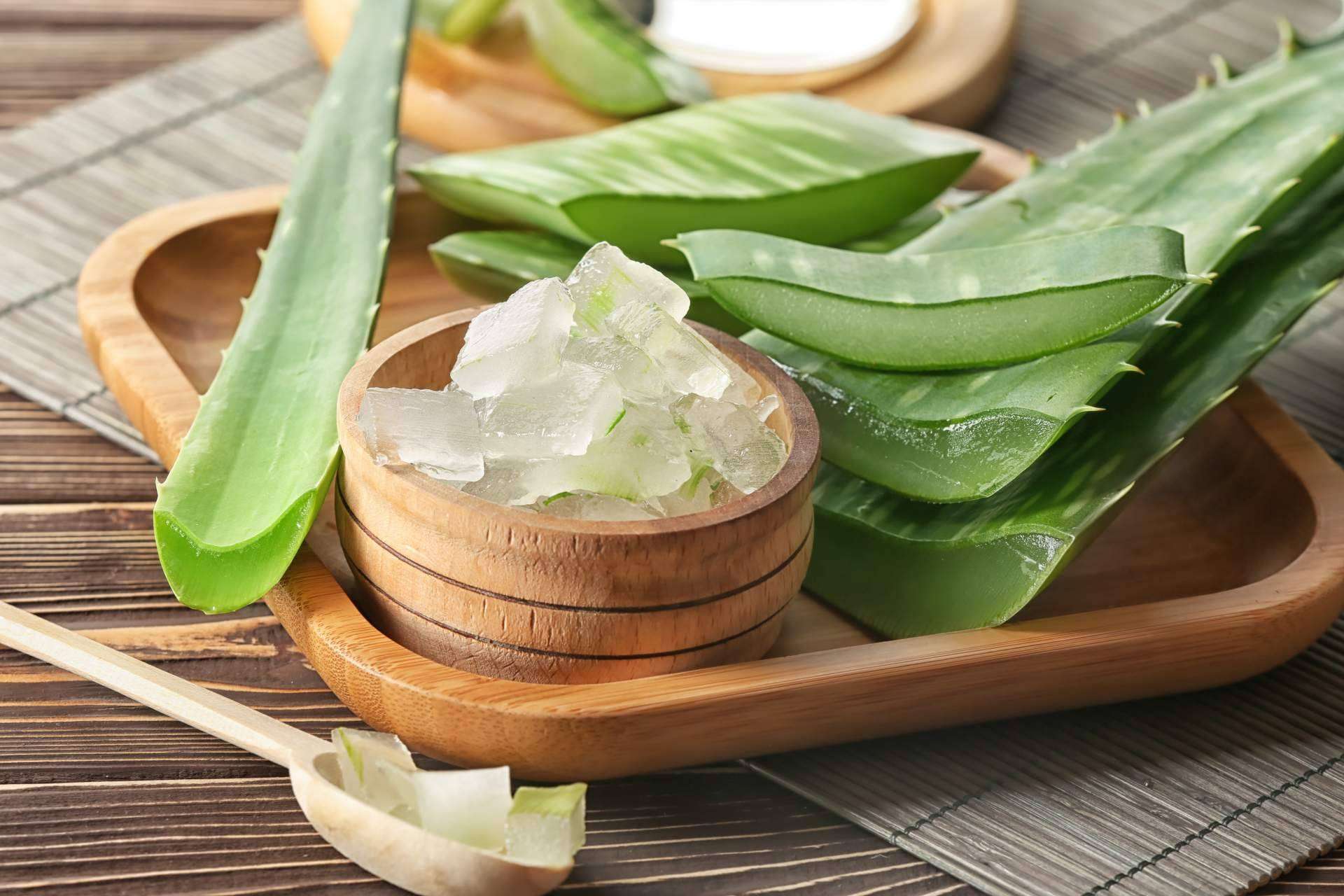 Territorio Aloe: las propiedades del aloe vera