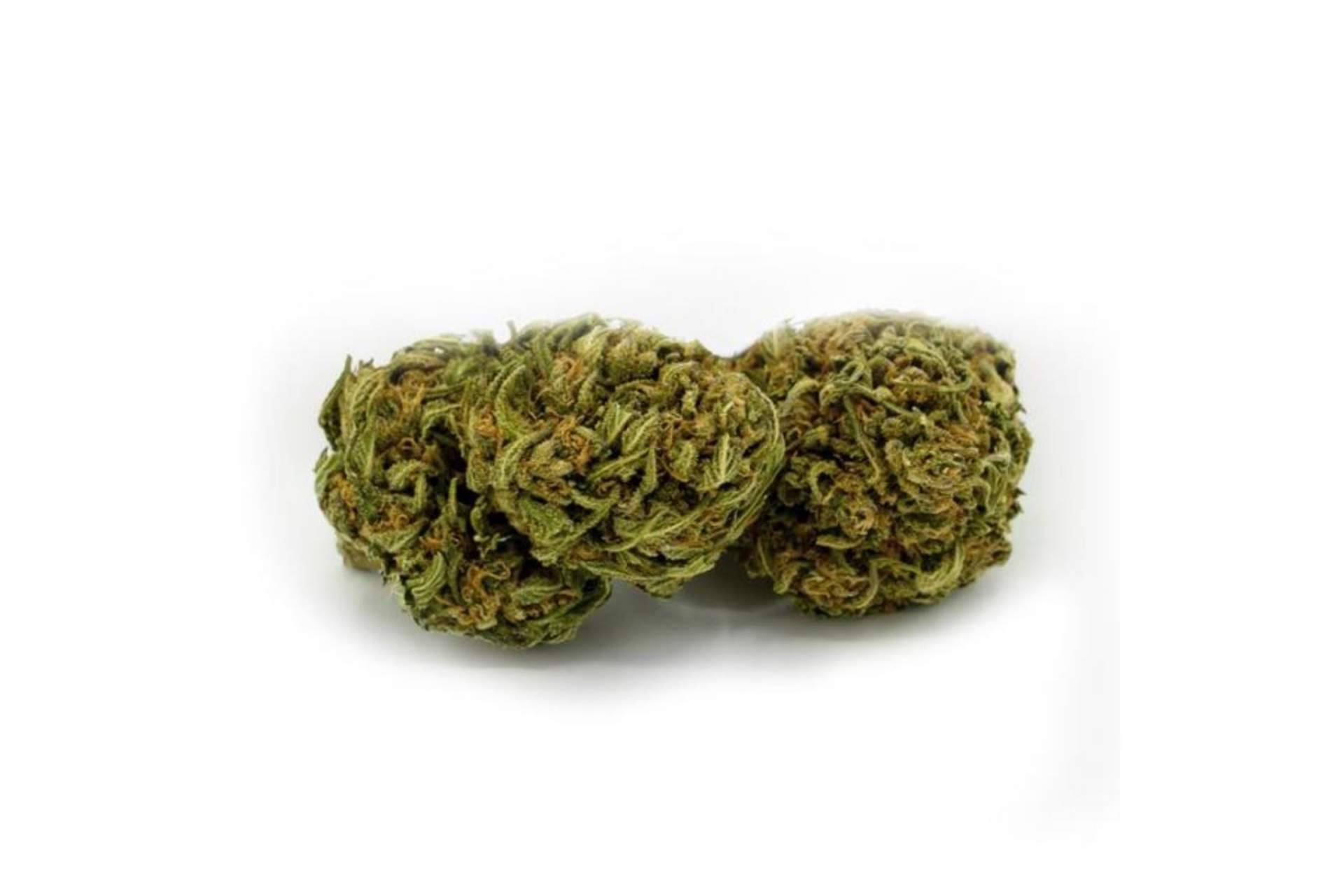¿Es legal la compra de CBD en España?: La Mal Querida