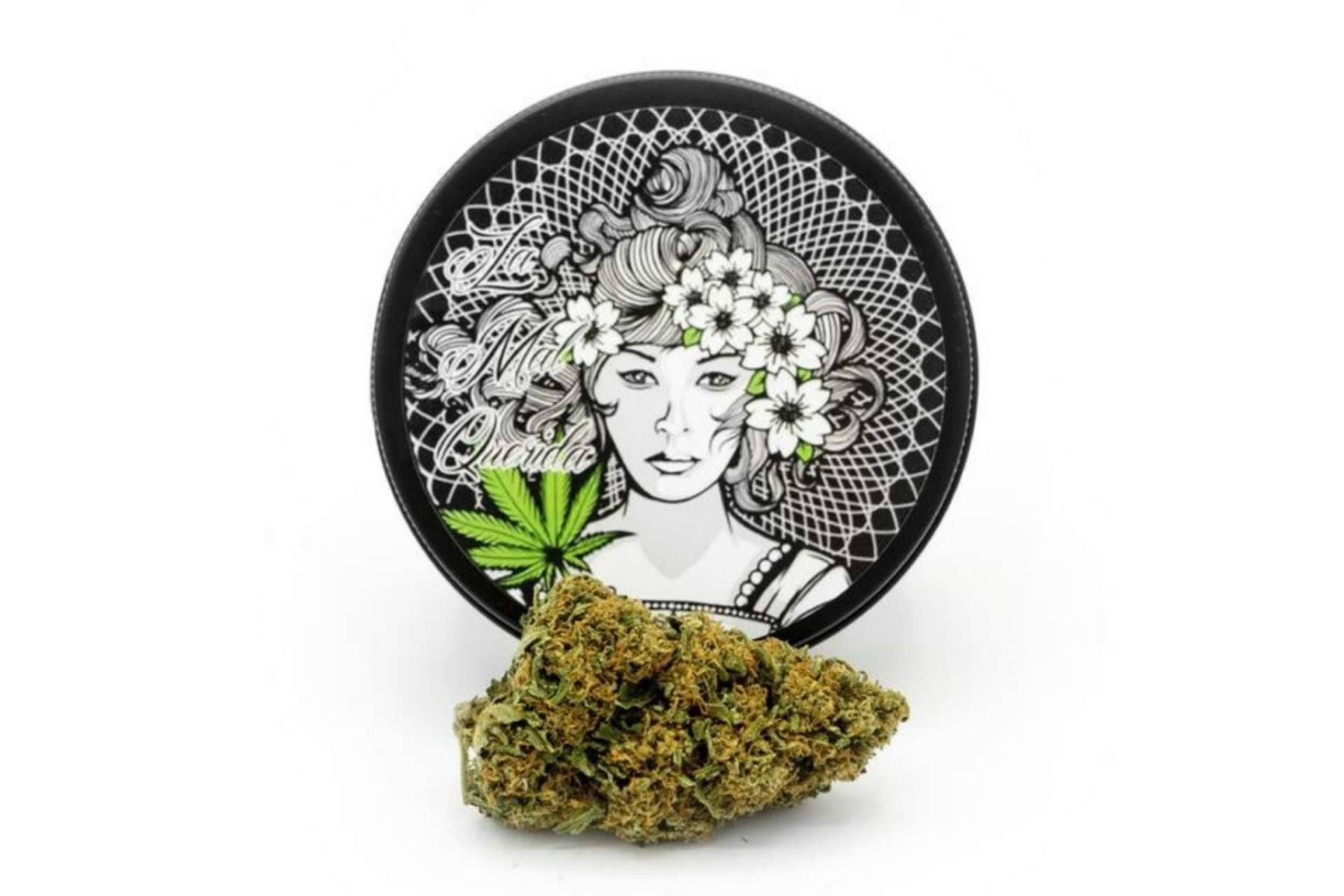¿Qué especifica el aspecto legal del CBD?: La Mal Querida