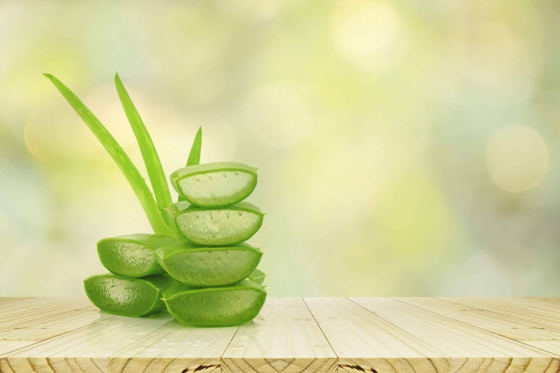 TerritorioAloe acerca los beneficios del aloe vera a los clientes