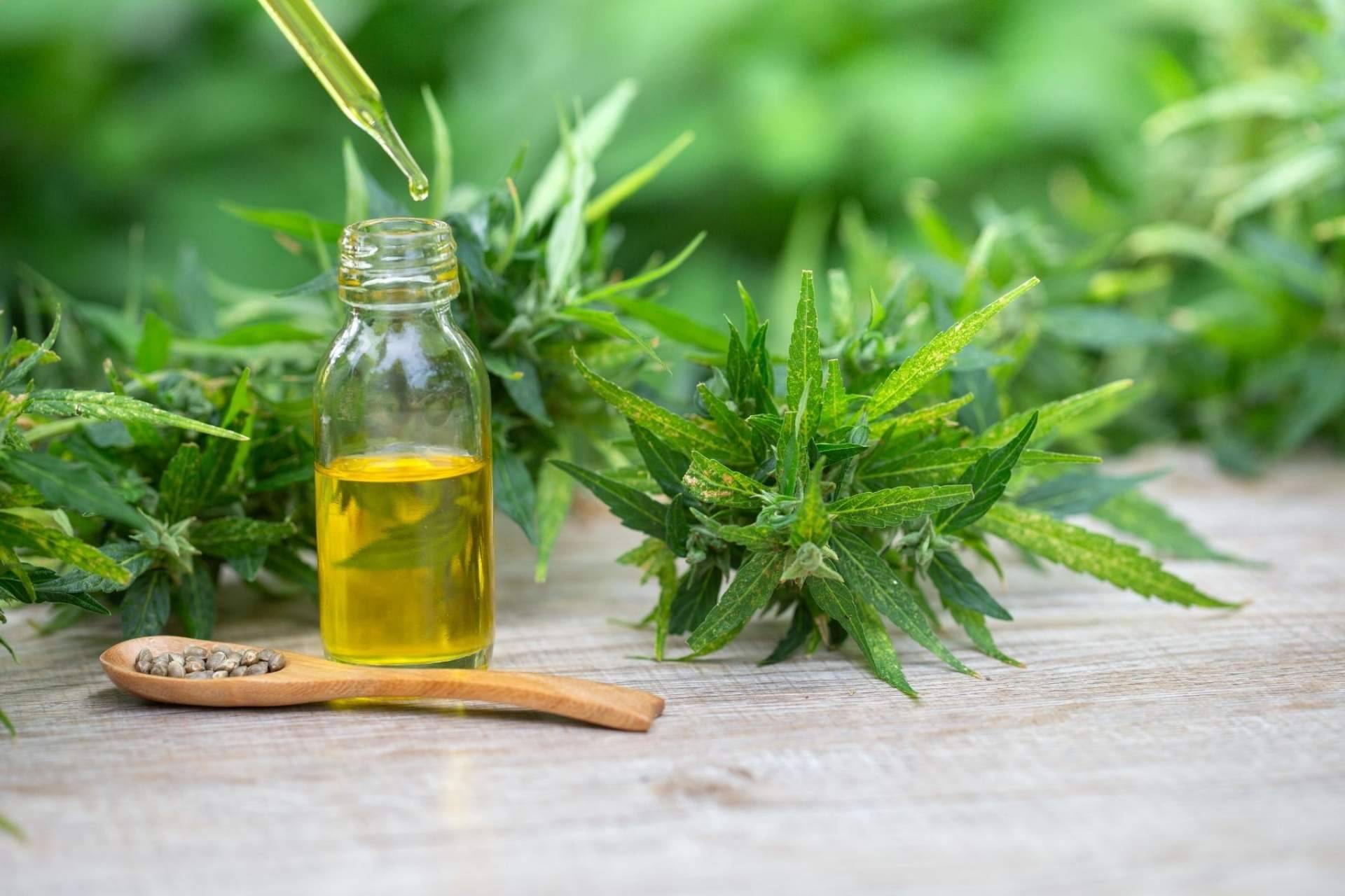 Amnesia Hy-Pro: ¿Cuáles son sus beneficios y aplicaciones? Premium Legal Hemp