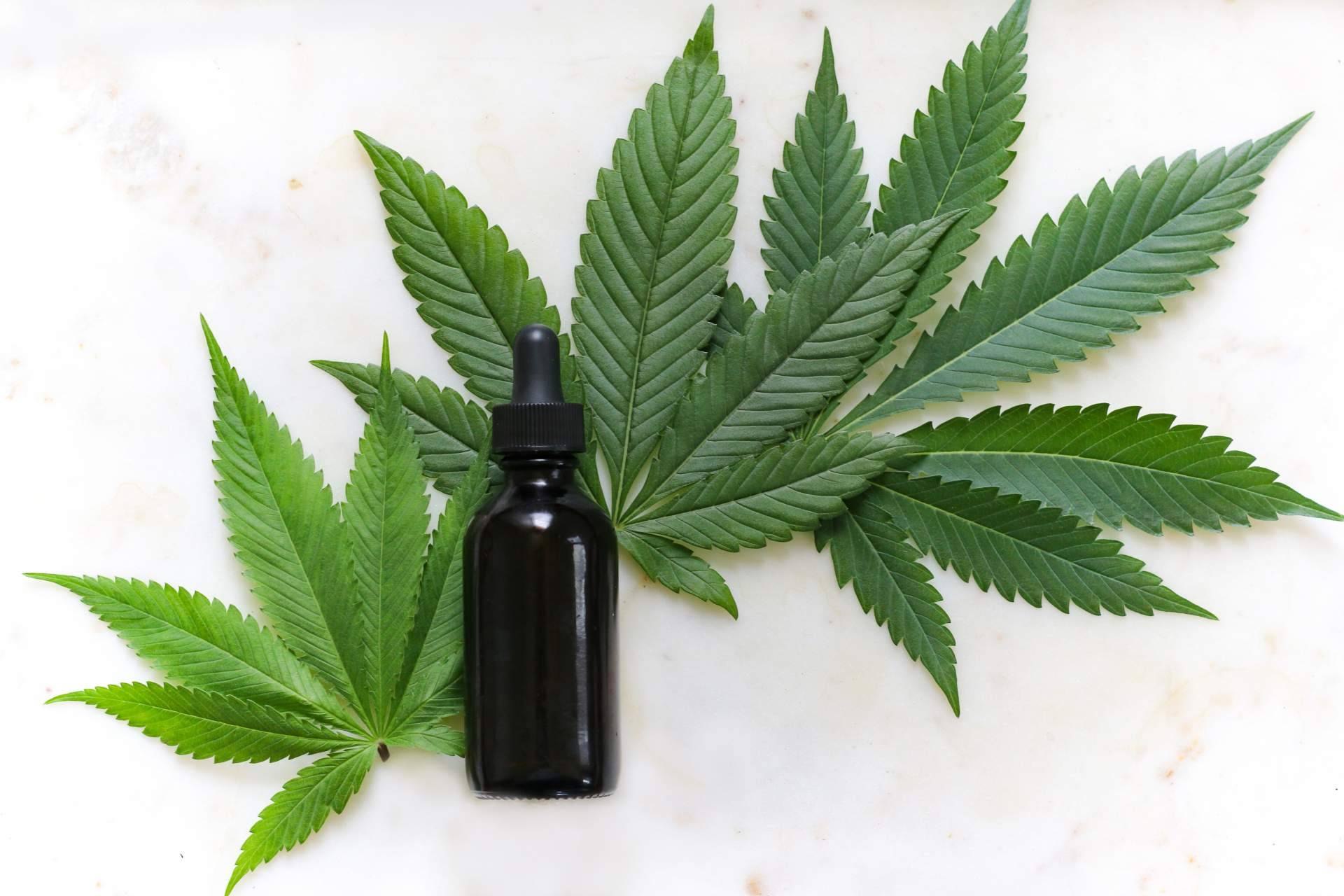 ¿Qué hace al aceite de CBD Full Spectrum más completo en comparación al aceite de CBD tradicional?: La Mal Querida Sativa