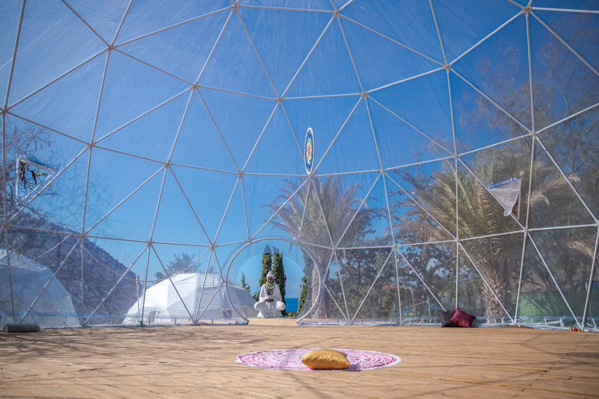 Blue Ocean Camp: la producción de cáñamo y la economía sostenible