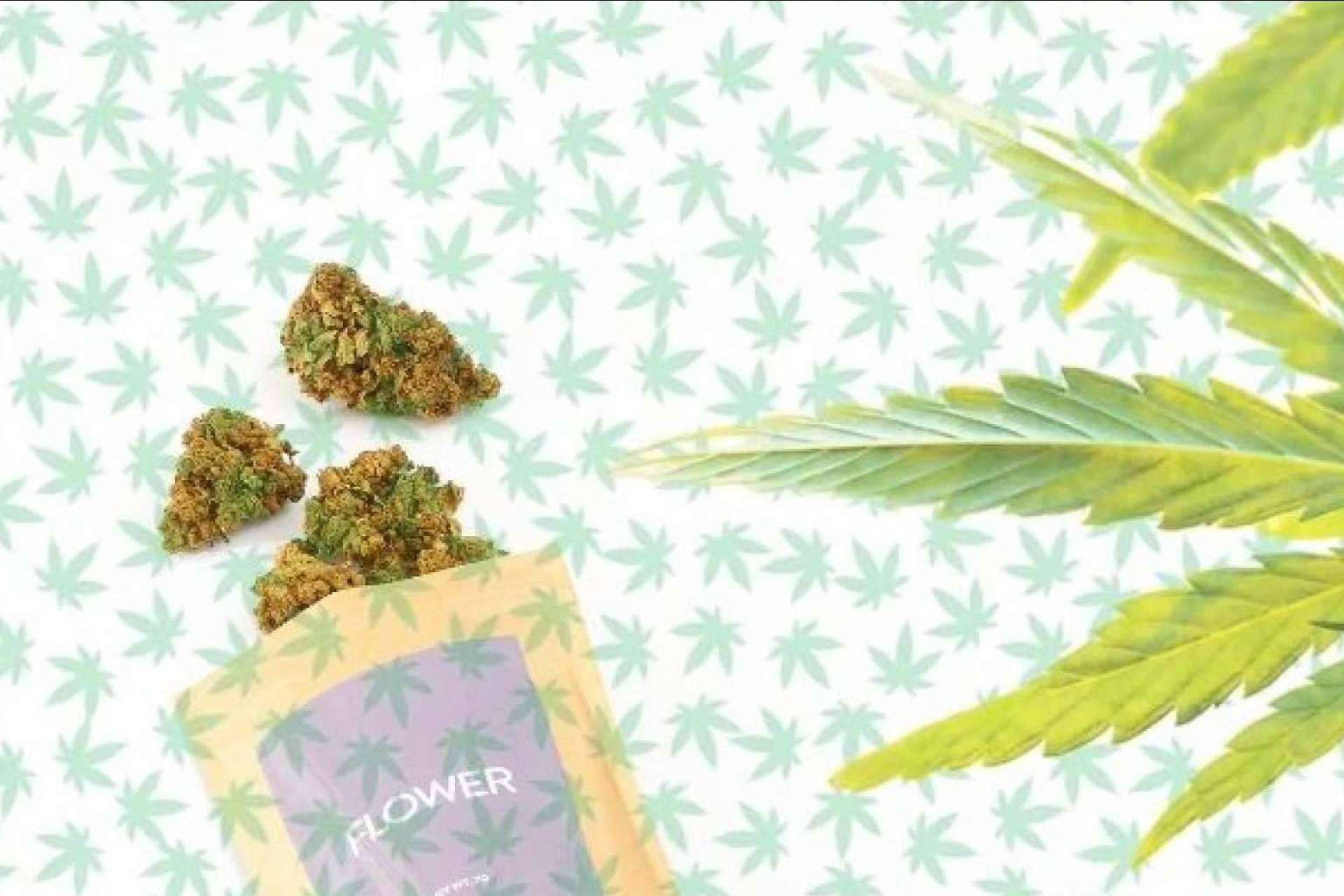Comprar flores CBD online, por CBD Organics