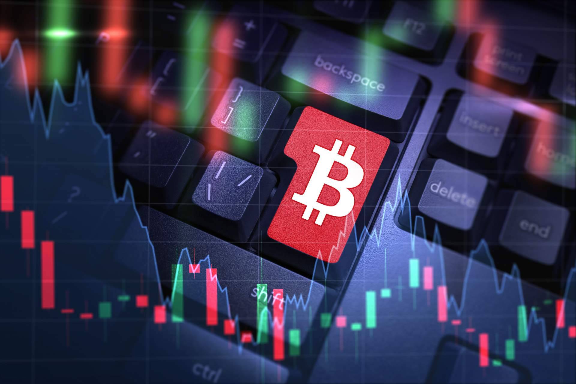 Conseguir ingresos pasivos a través de BEPR, el token con mecanismo de reflexión desarrollado por BEUROP
