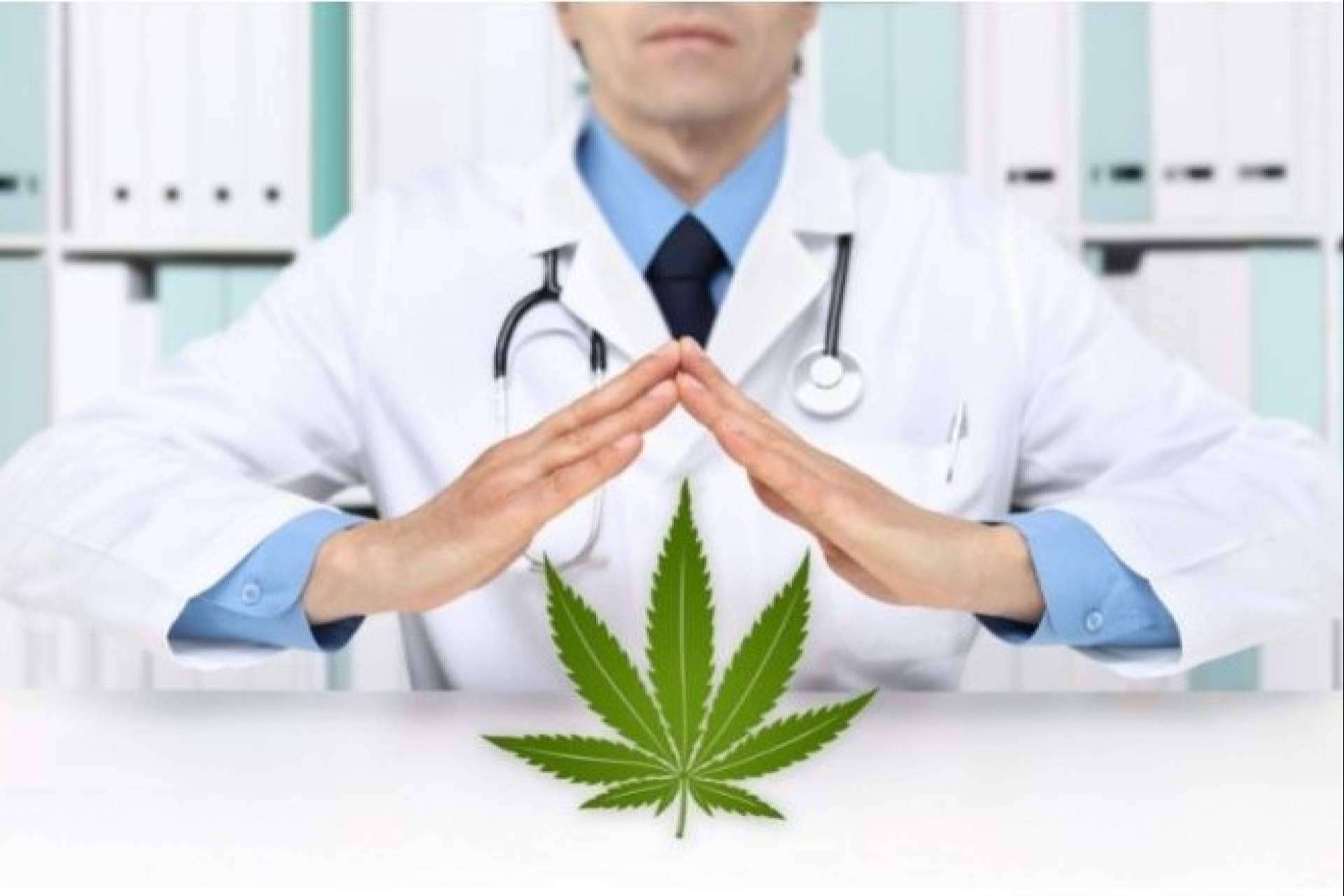 CBD Organics ¿Es legal comprar flores y extractos CBD en España?