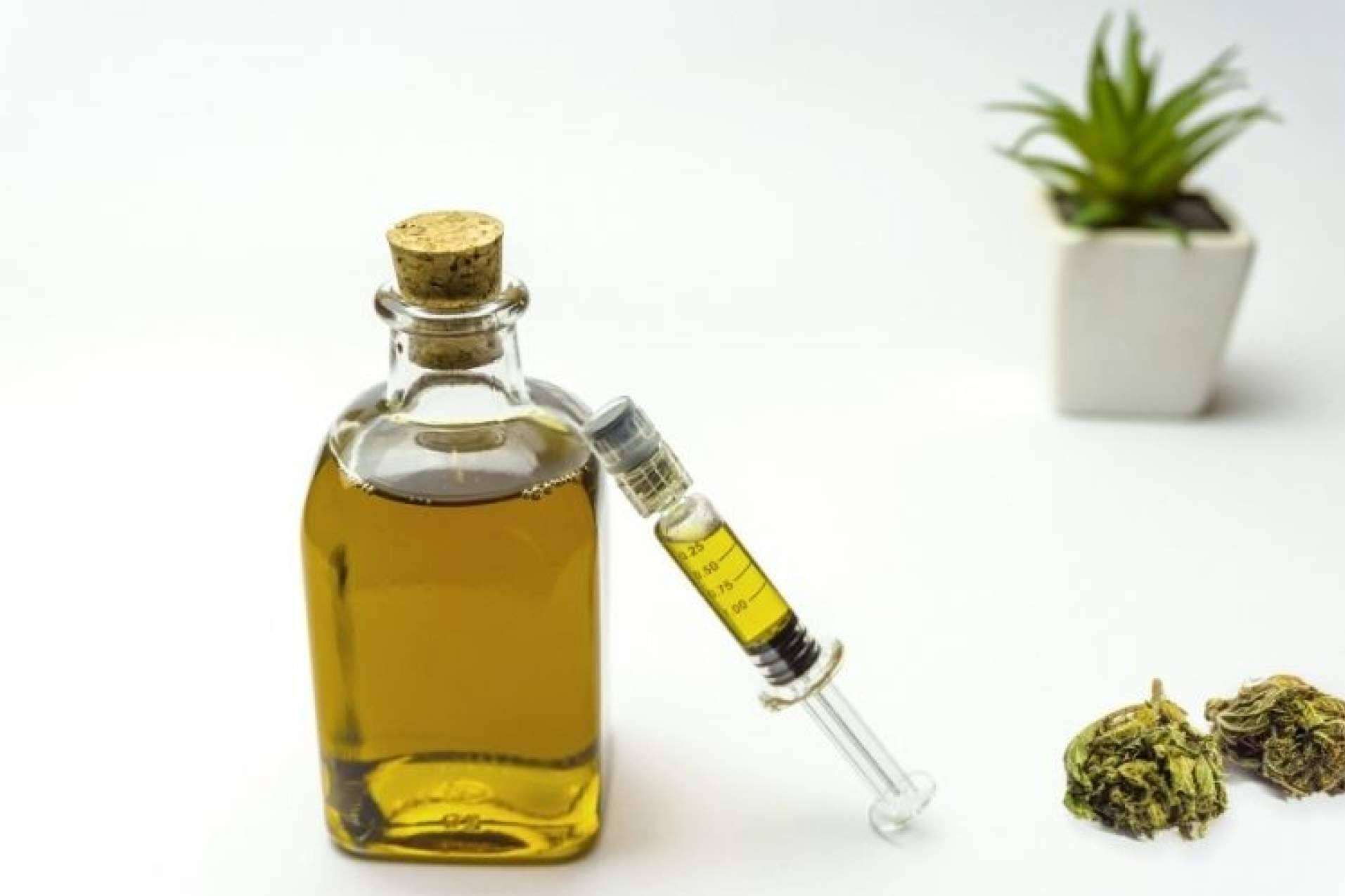 CBD Organics expone los beneficios de los aceites de CBD