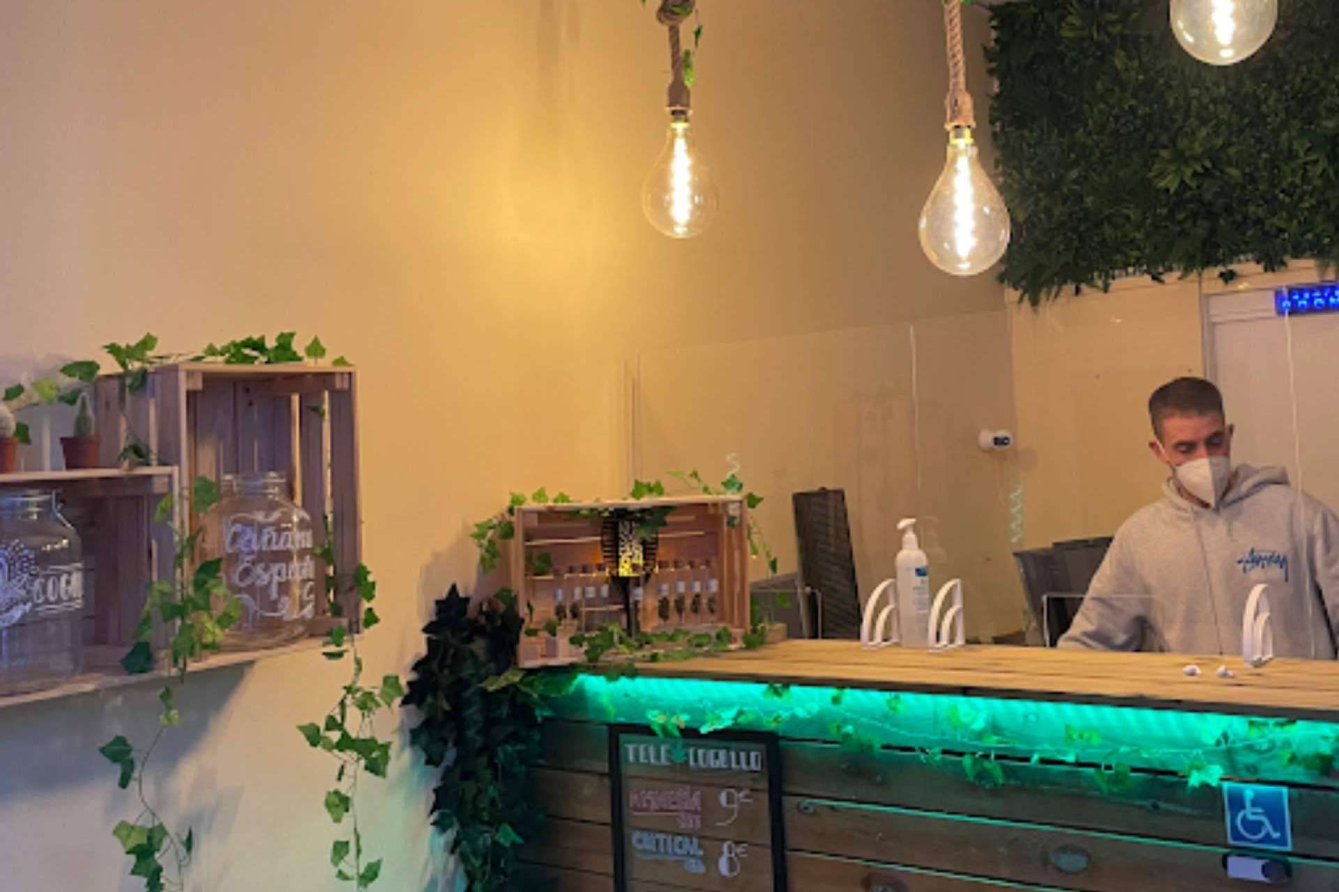 La marihuana legal de TeleCogollo