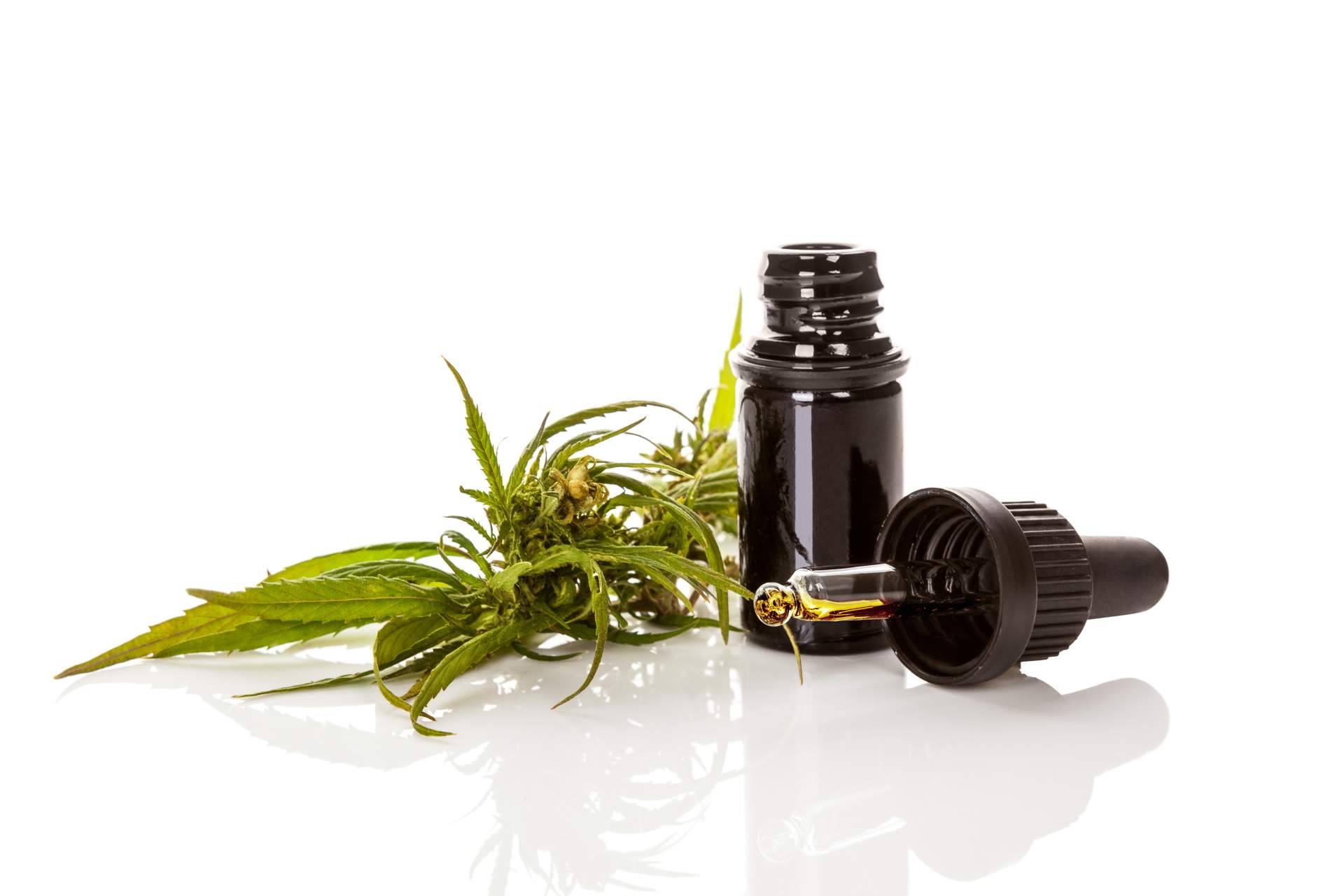 Los múltiples beneficios del aceite CBD, una de las principales opciones en medicina natural