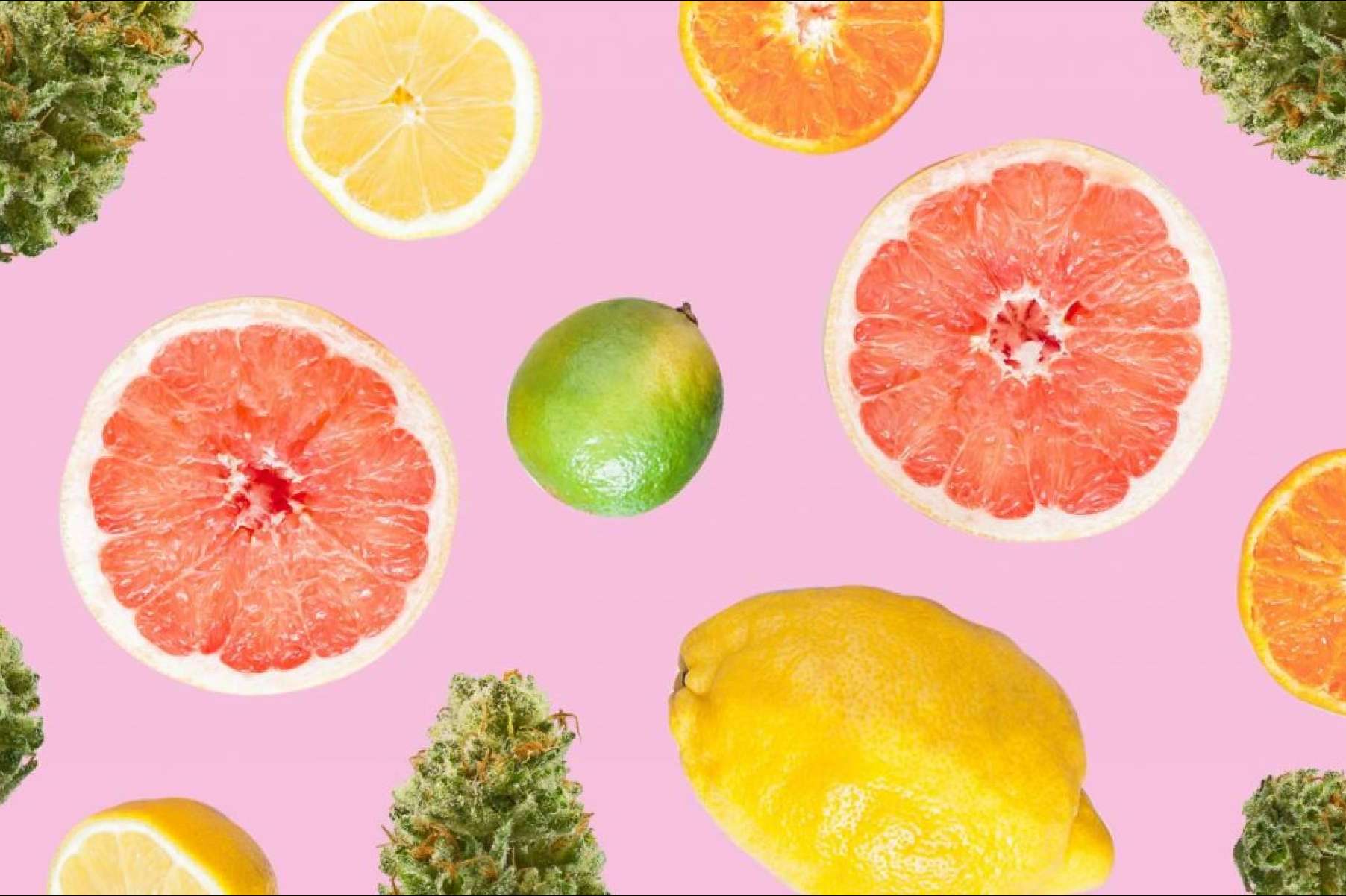 Los beneficios del CBD para la piel