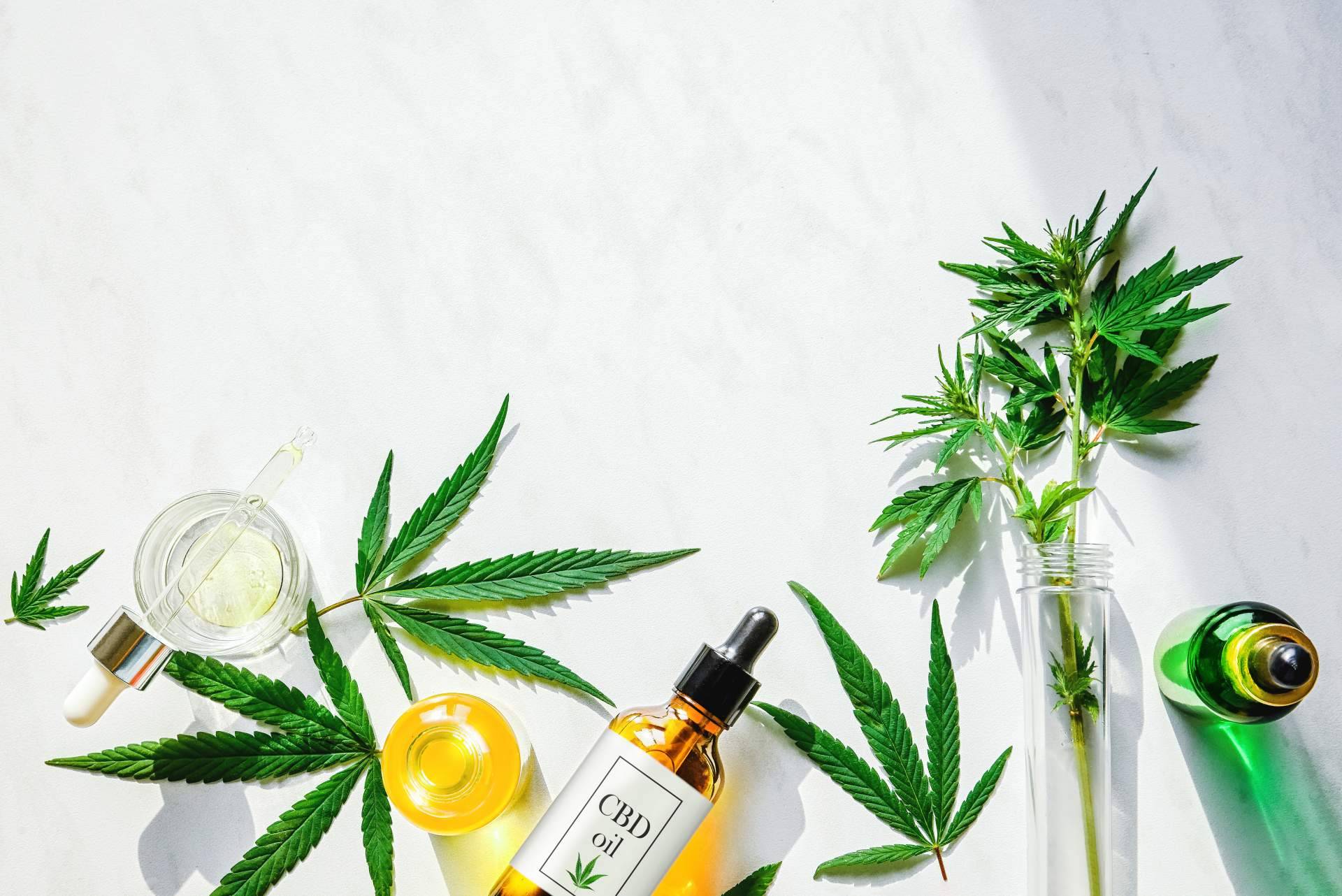 ¿Qué usos tiene el CBD?