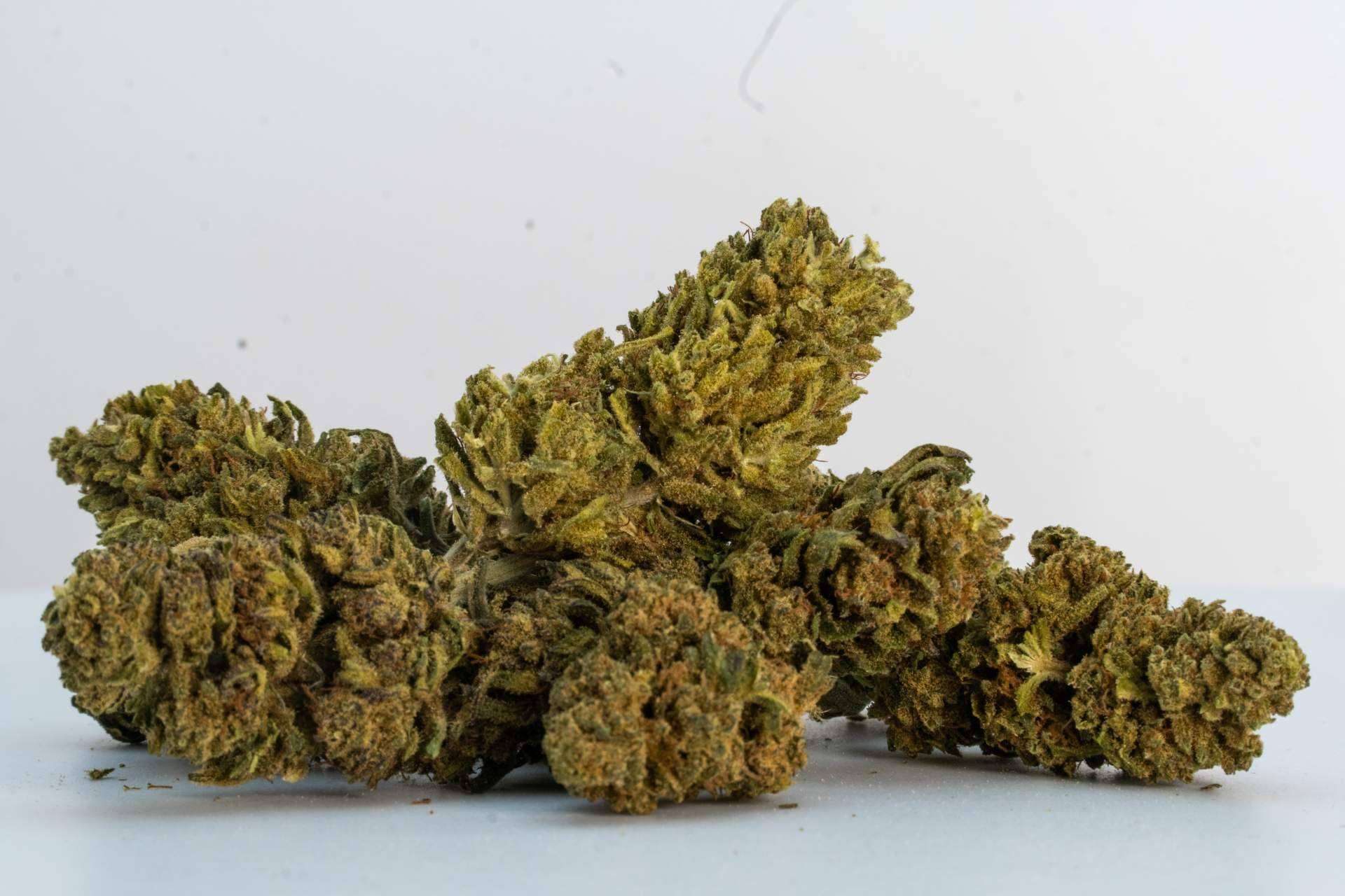 ¿Cómo el CBD puede ayudar a mantener un estilo de vida activo? Ganesh Grow
