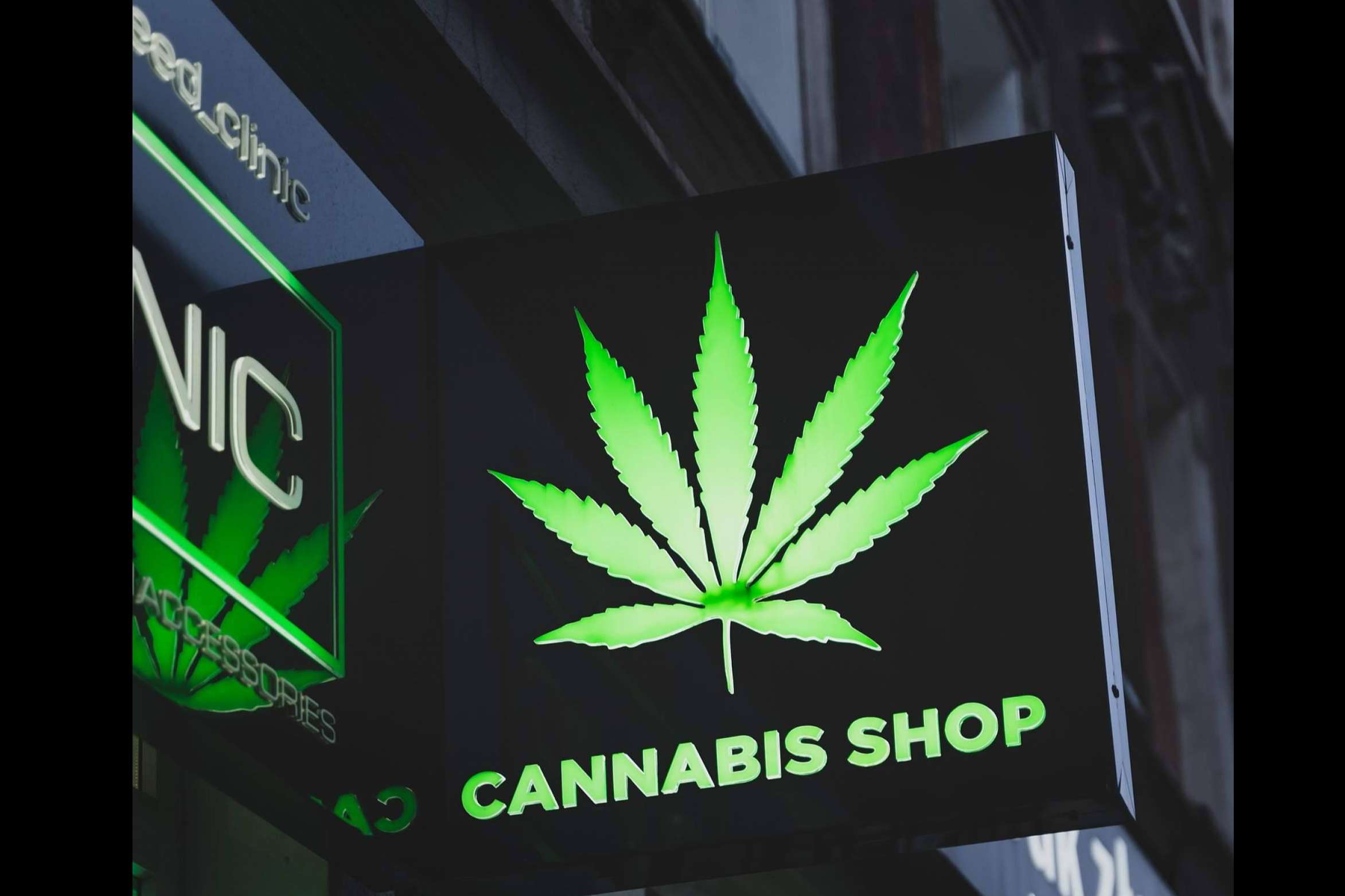 Los beneficios del cannabis en la salud de la mano de Canna Rural