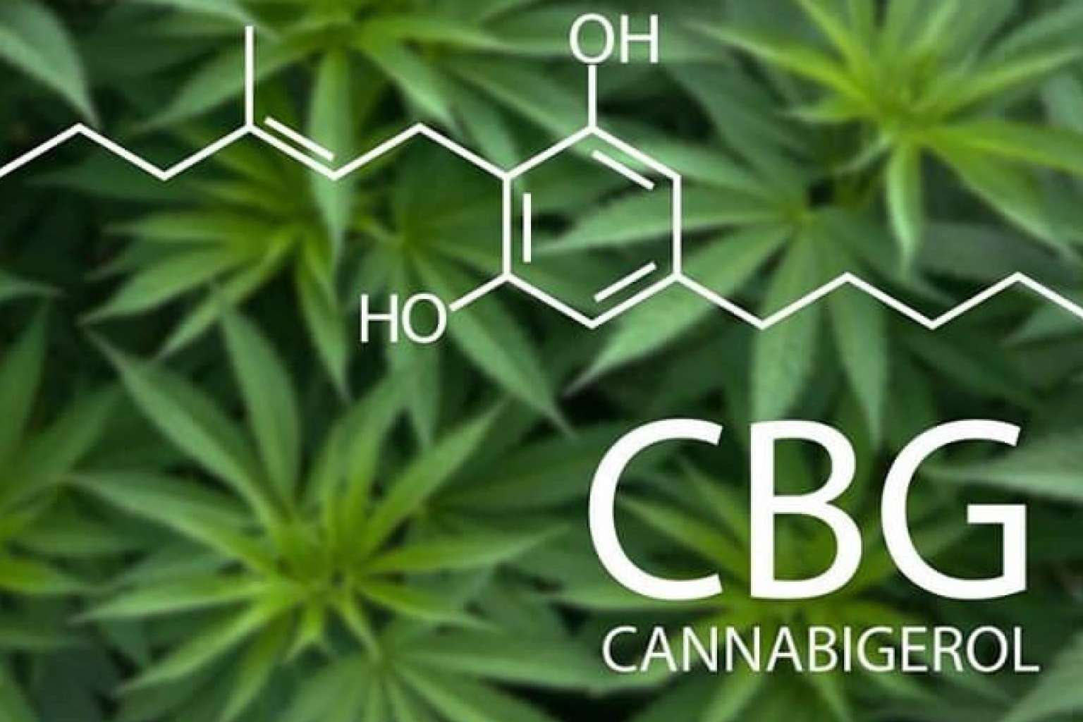 Las propiedades de los aceites de CBD con CBG, por LabCBD