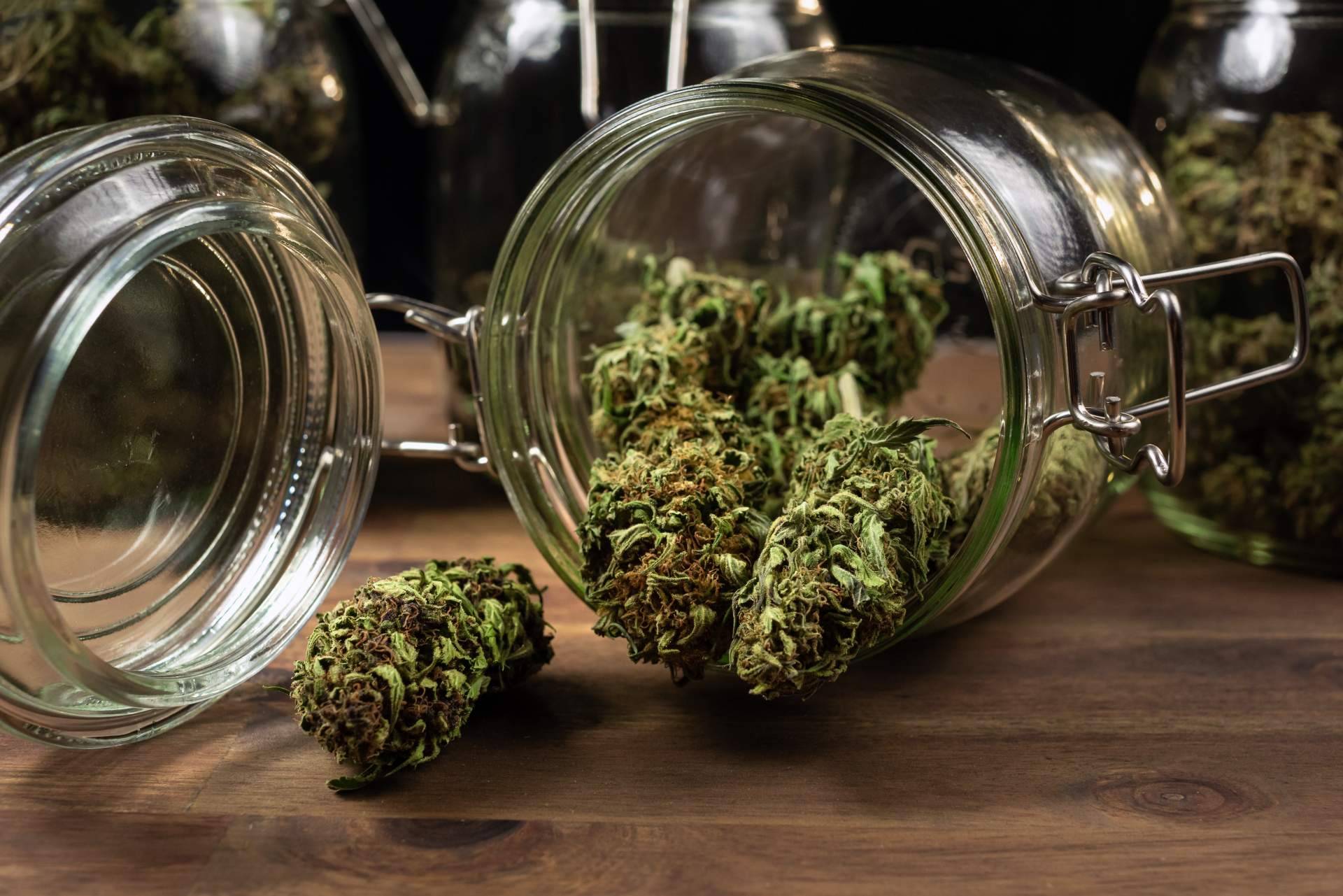 Nueva normativa del 0,3 % aplicada a los productos de La Mal Querida Sativa