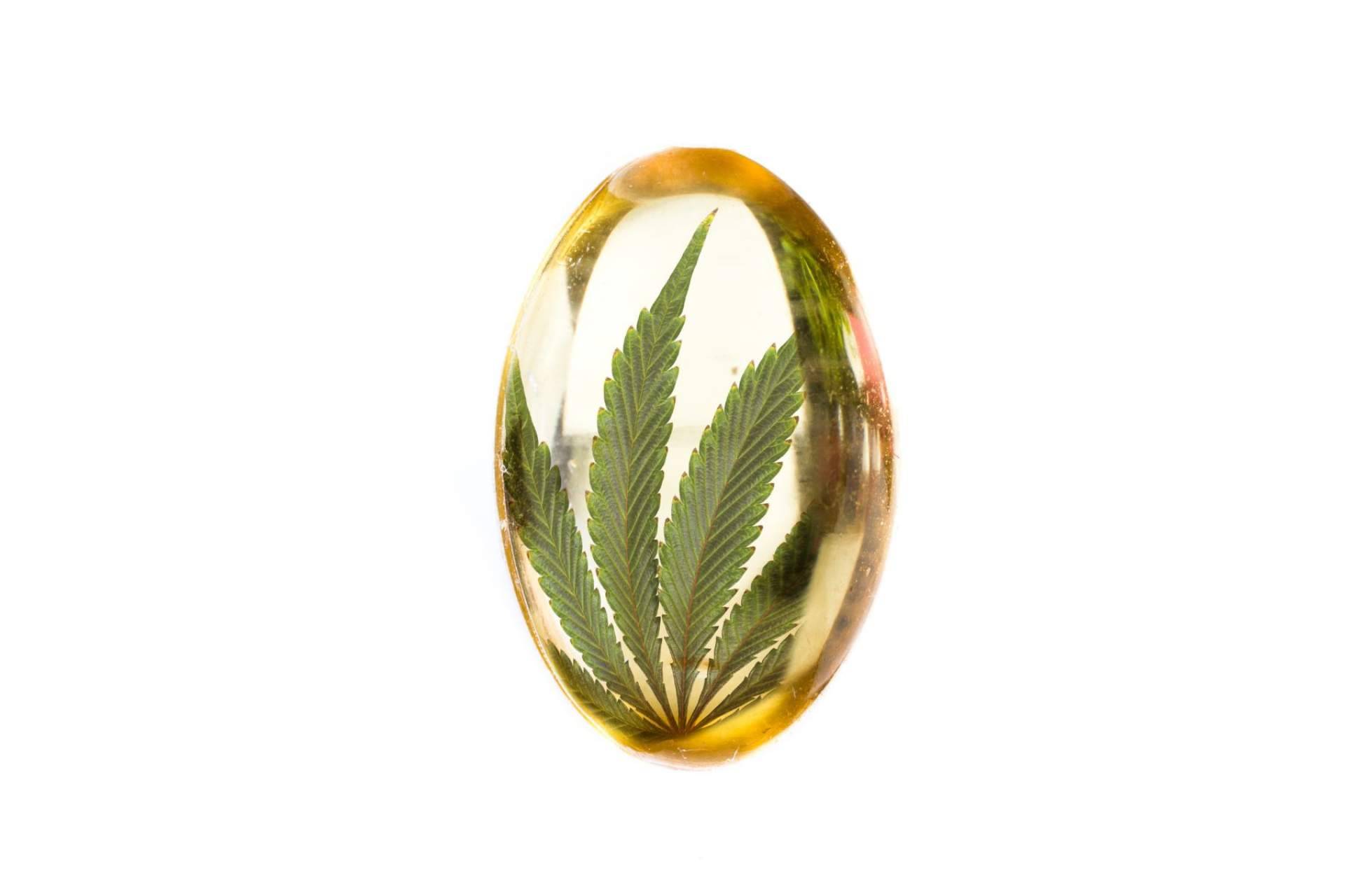CBDrocks ofrece una amplia gama de aceites CBD con diferentes funcionalidades