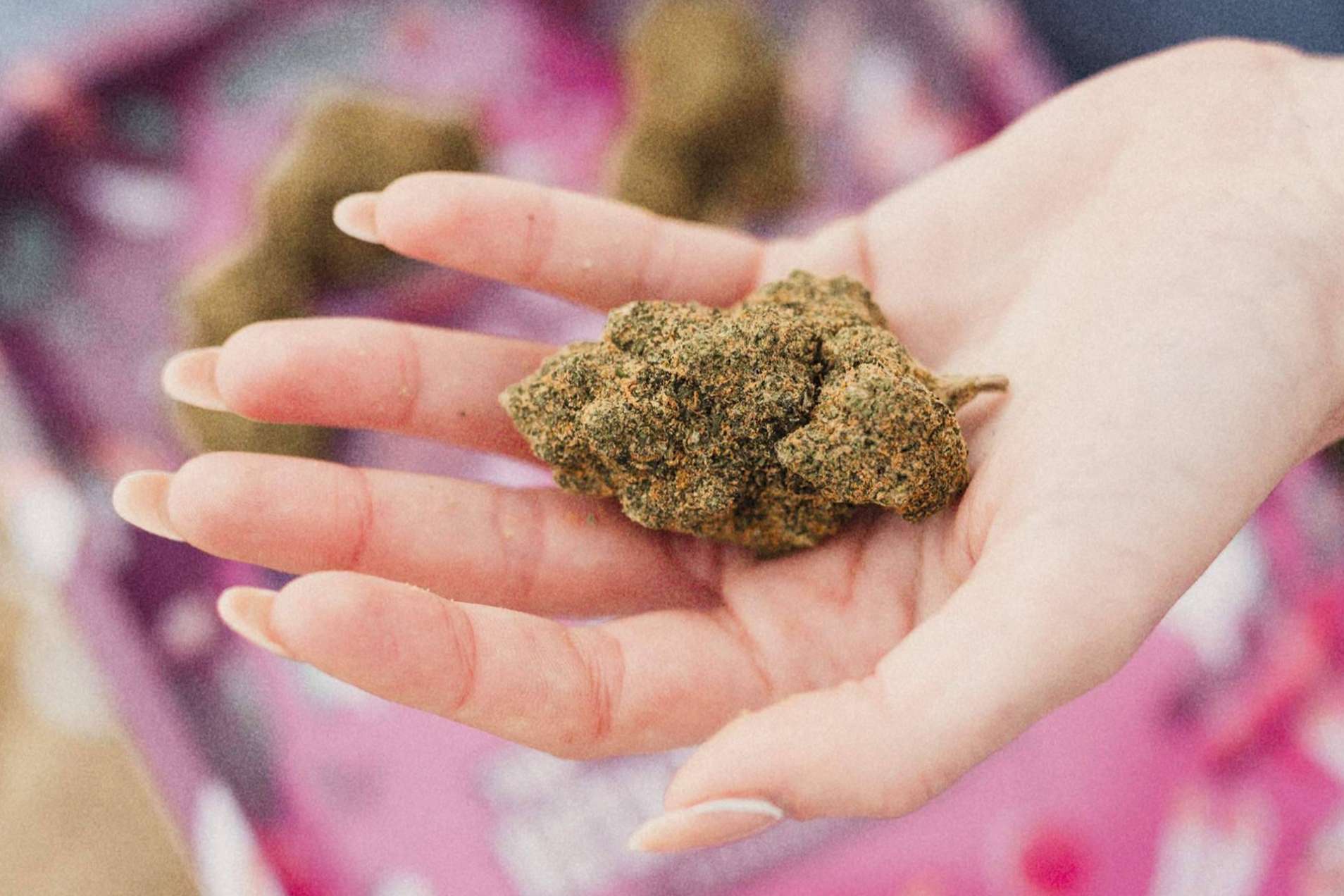 The Rita's Forest explica los beneficios del CBD