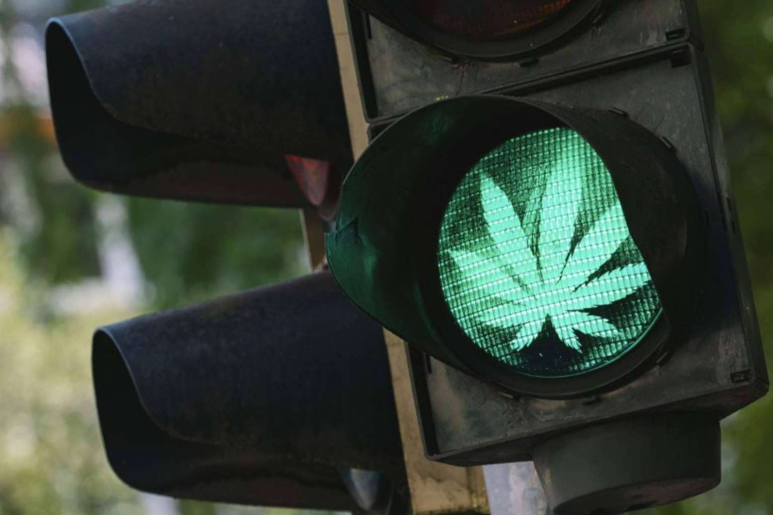 ¿Es posible conducir bajo los efectos del CBD?, con La Mal Querida