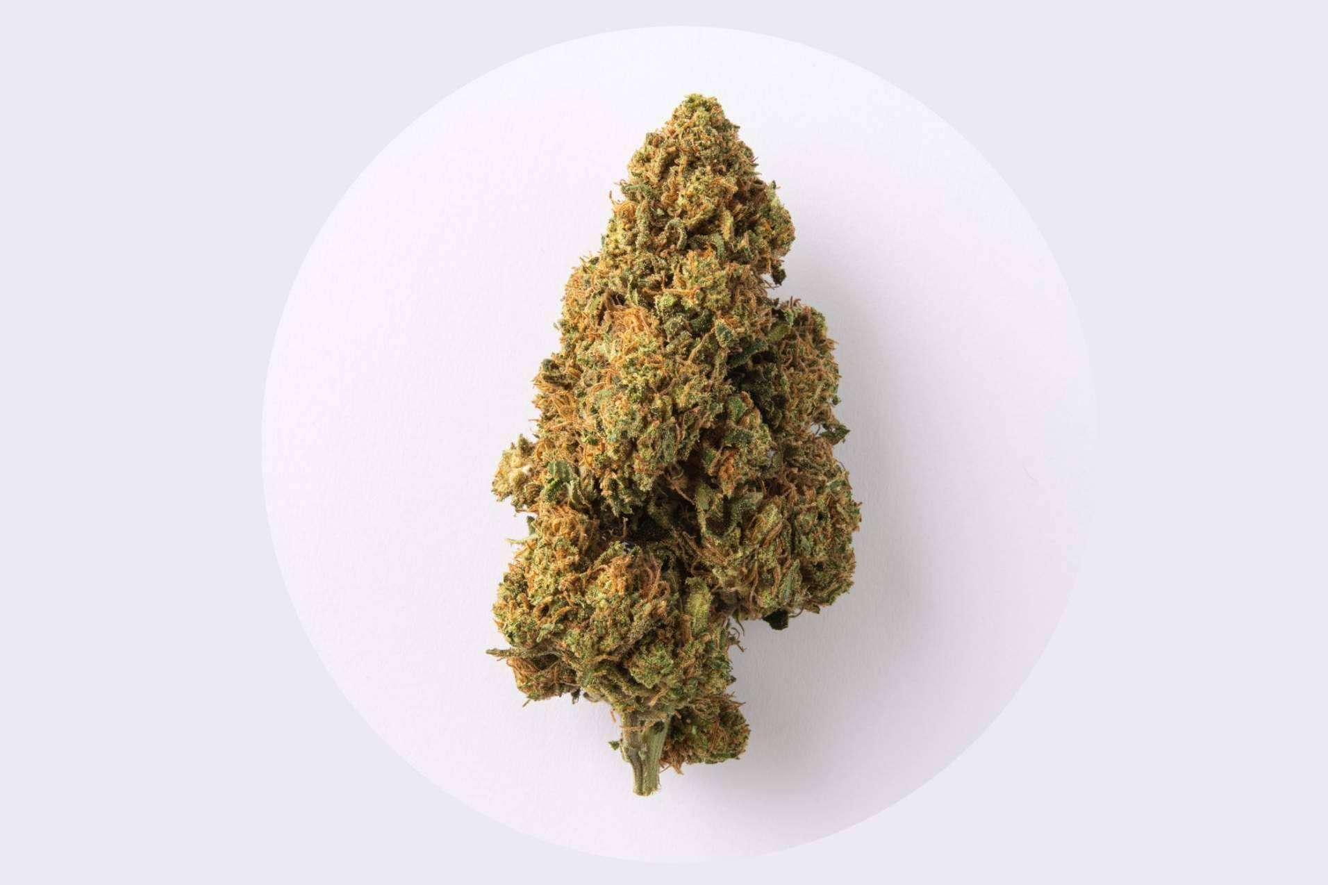 Flores de CBD La Cordobesa, unas de las mejores flores del mercado