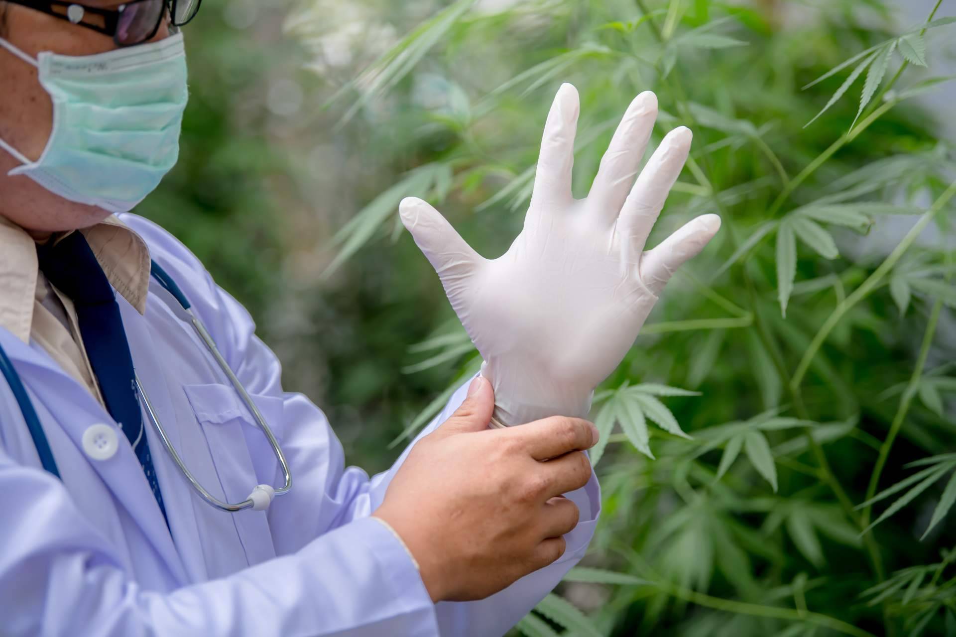 CBDrocks permite encontrar aceite de CBD de alta calidad