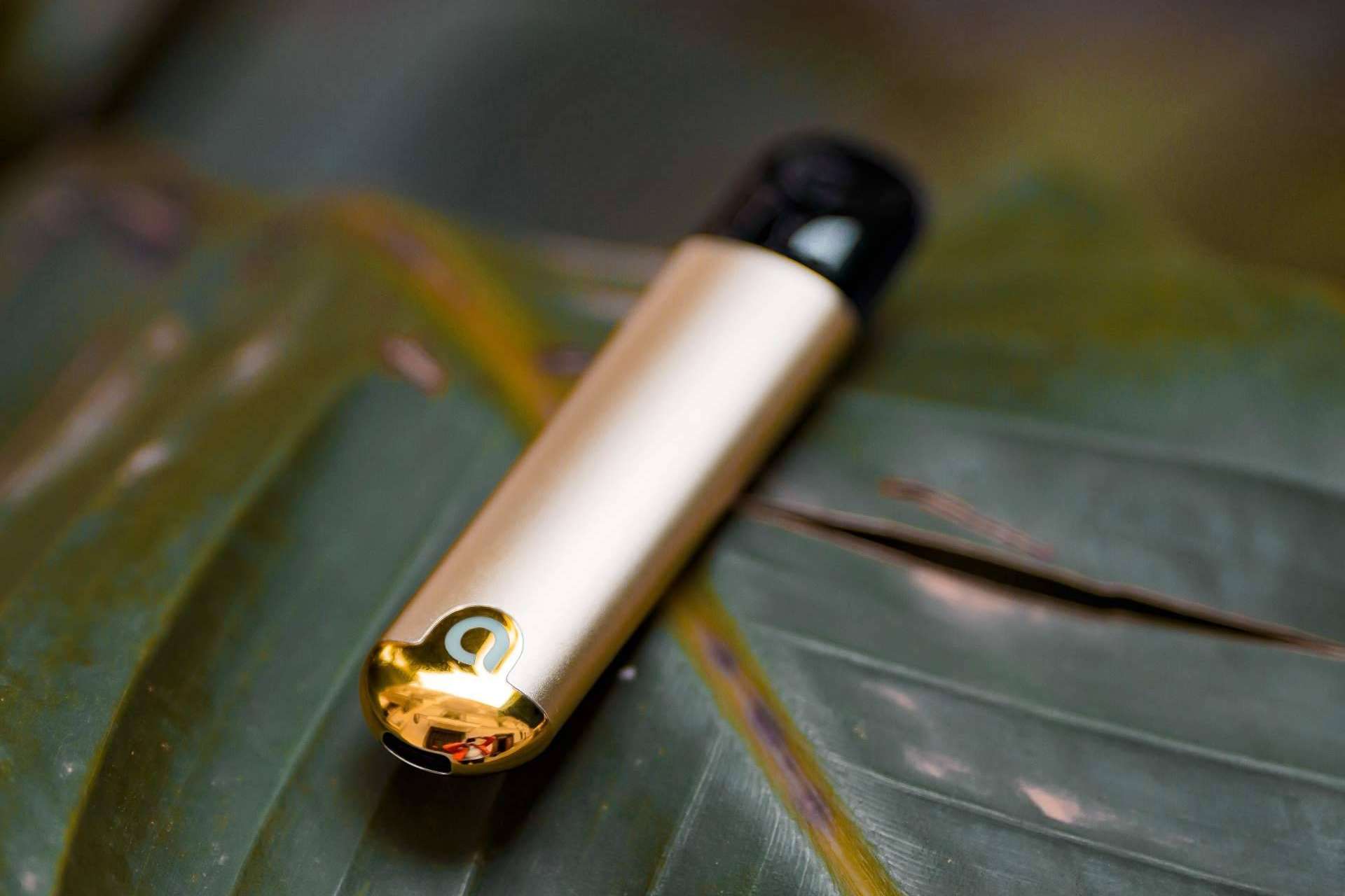 Ammo Vaper ofrece una gran variedad de vapers de sabores para complacer todos los gustos