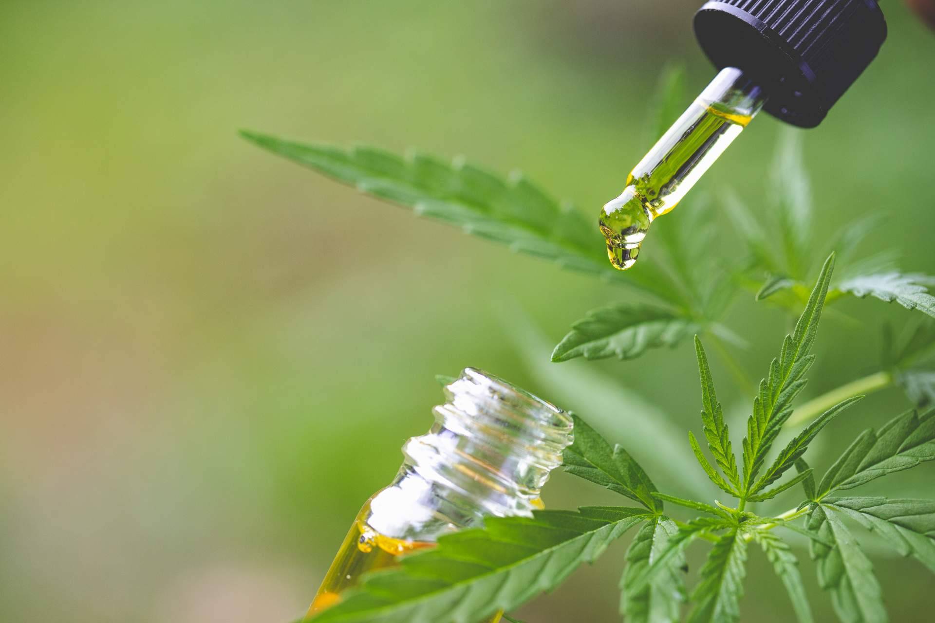 Tratar la ansiedad con el apoyo del CBD
