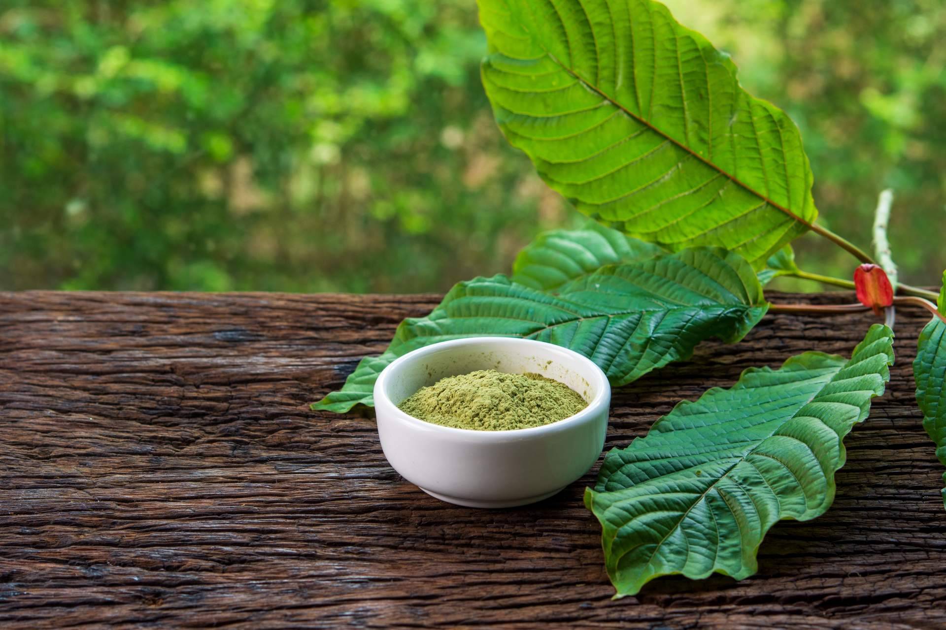 Conocer los beneficios del kratom, de la mano de Kratom World