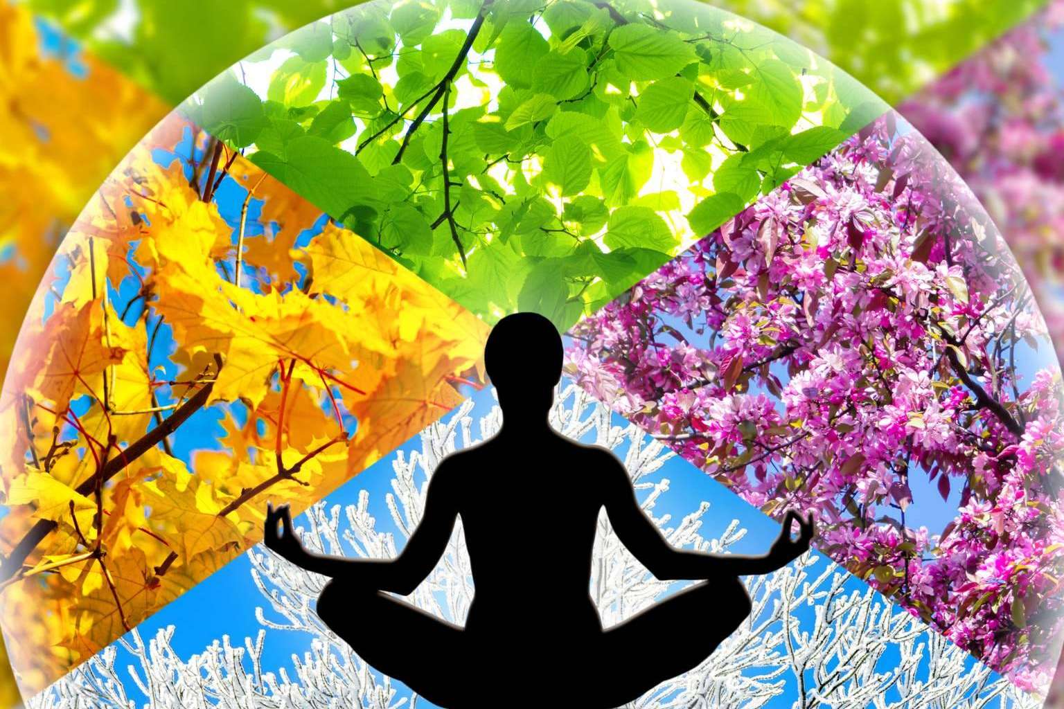 La firma eeMindful ofrece terapias de meditación guiada con mindfulness