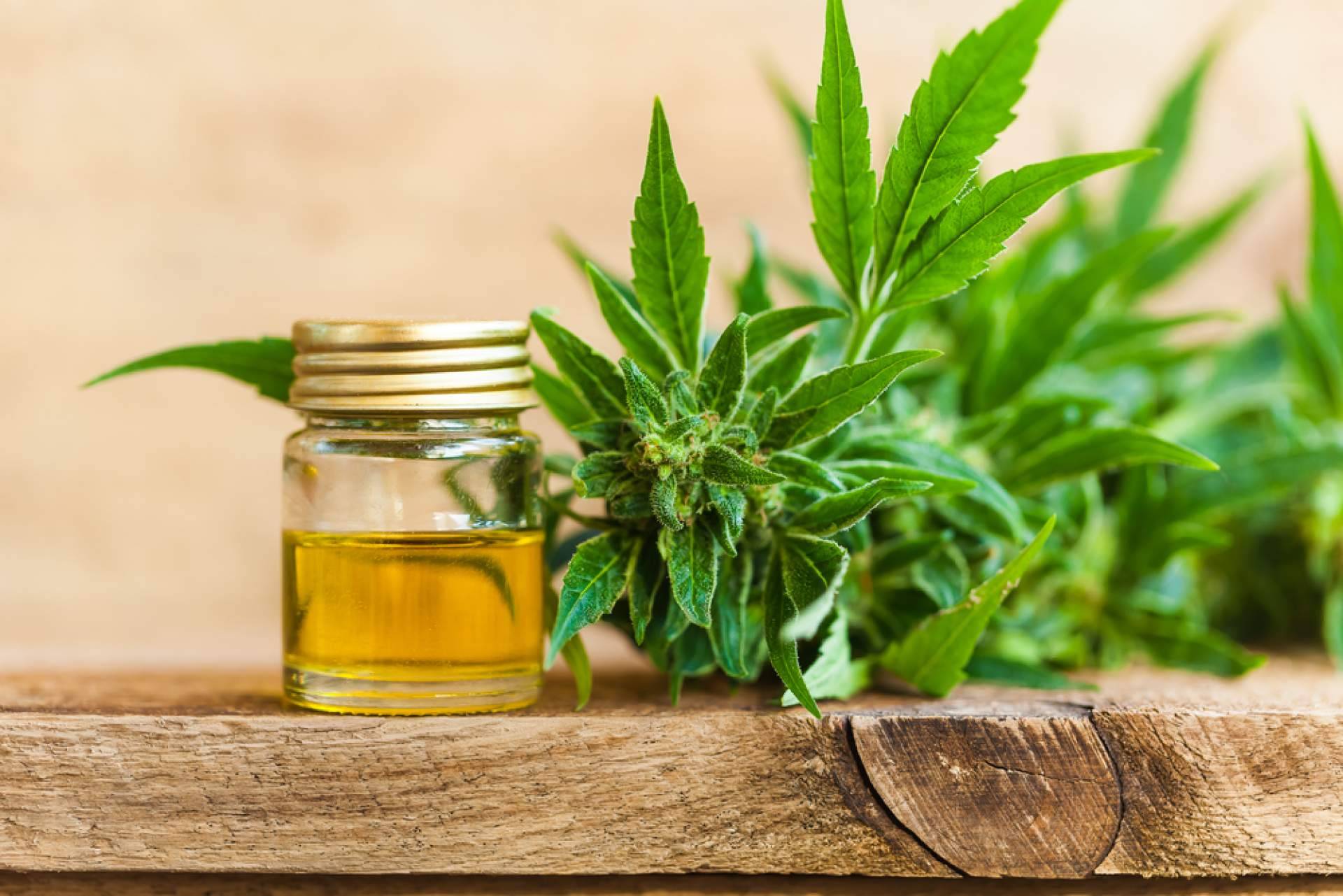 ¿Qué dolencias y enfermedades puede tratar el CBD?, con CBD Torrejón