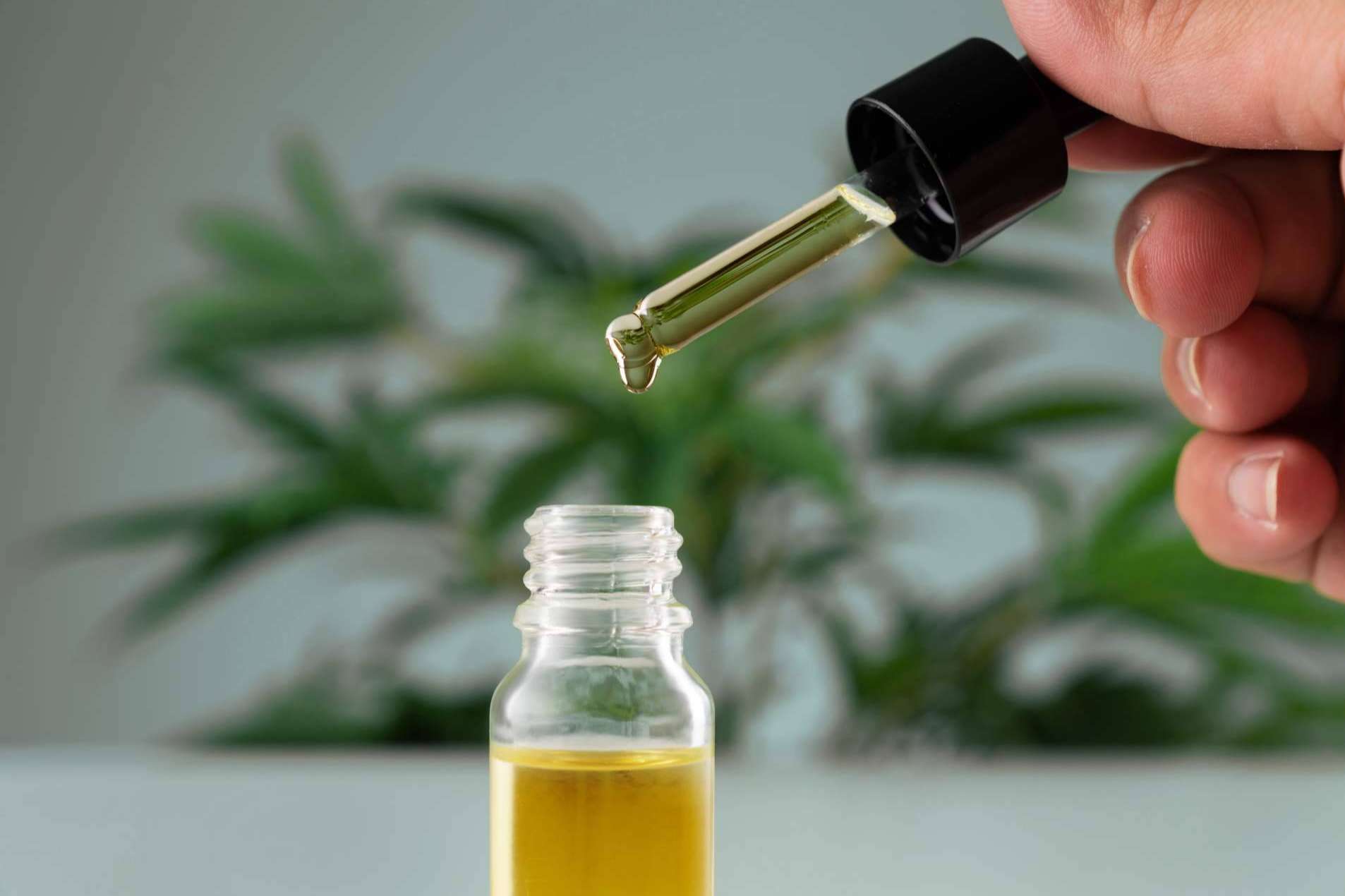 Arkano CBD; el bienestar que el cannabis medicinal puede ofrecer