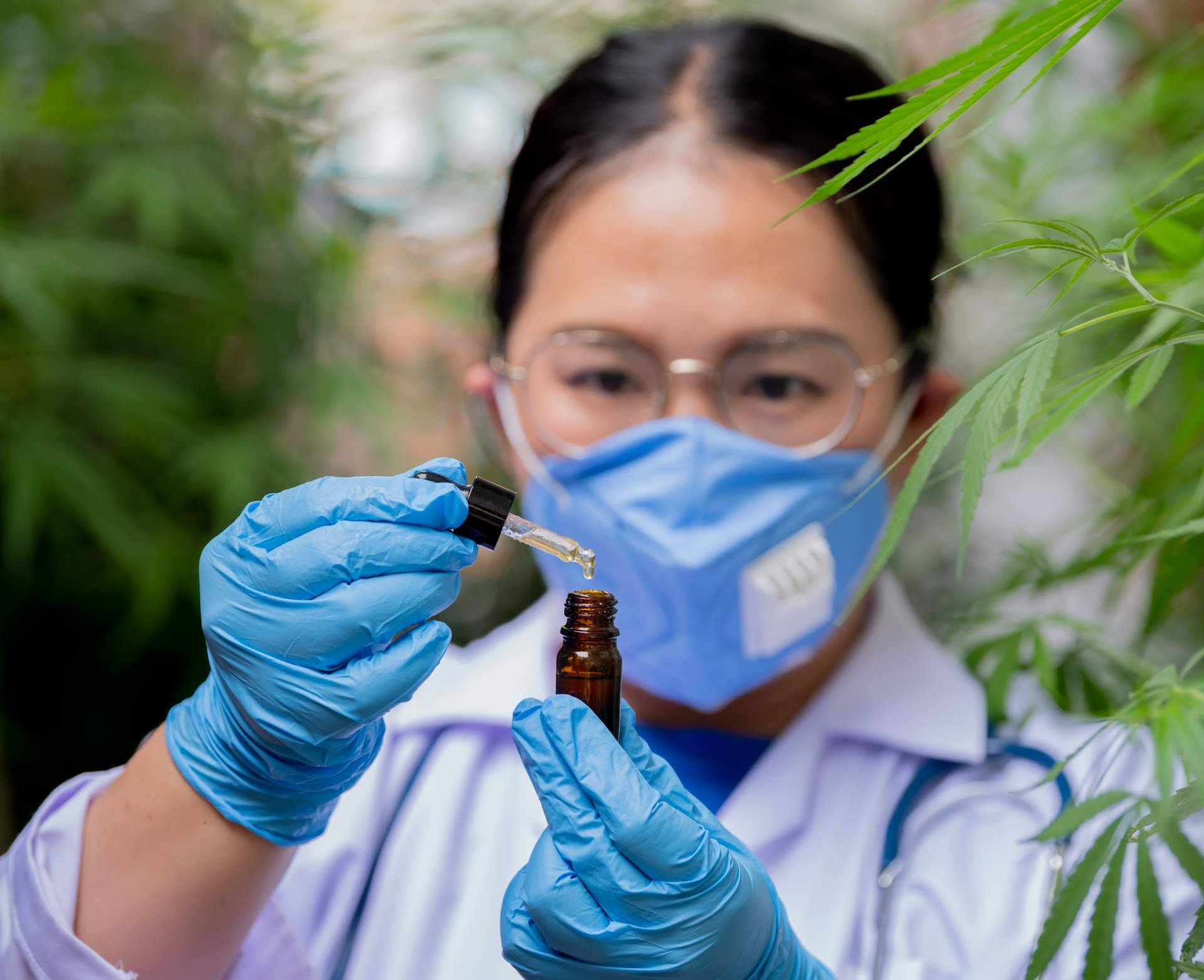 Cómo elegir la mejor tienda de CBD online según las necesidades