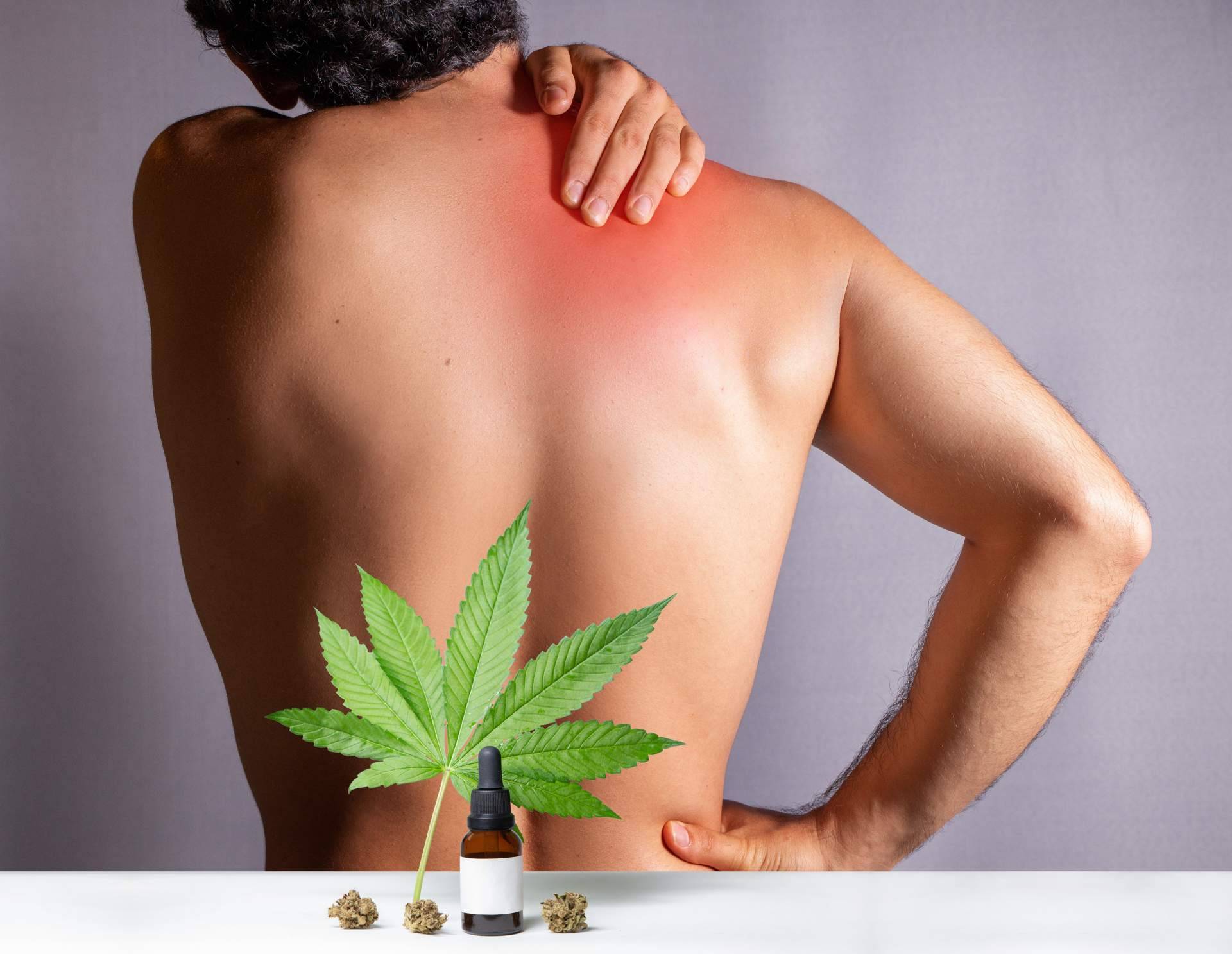 Kannaia ofrece flores de CBD de alta calidad