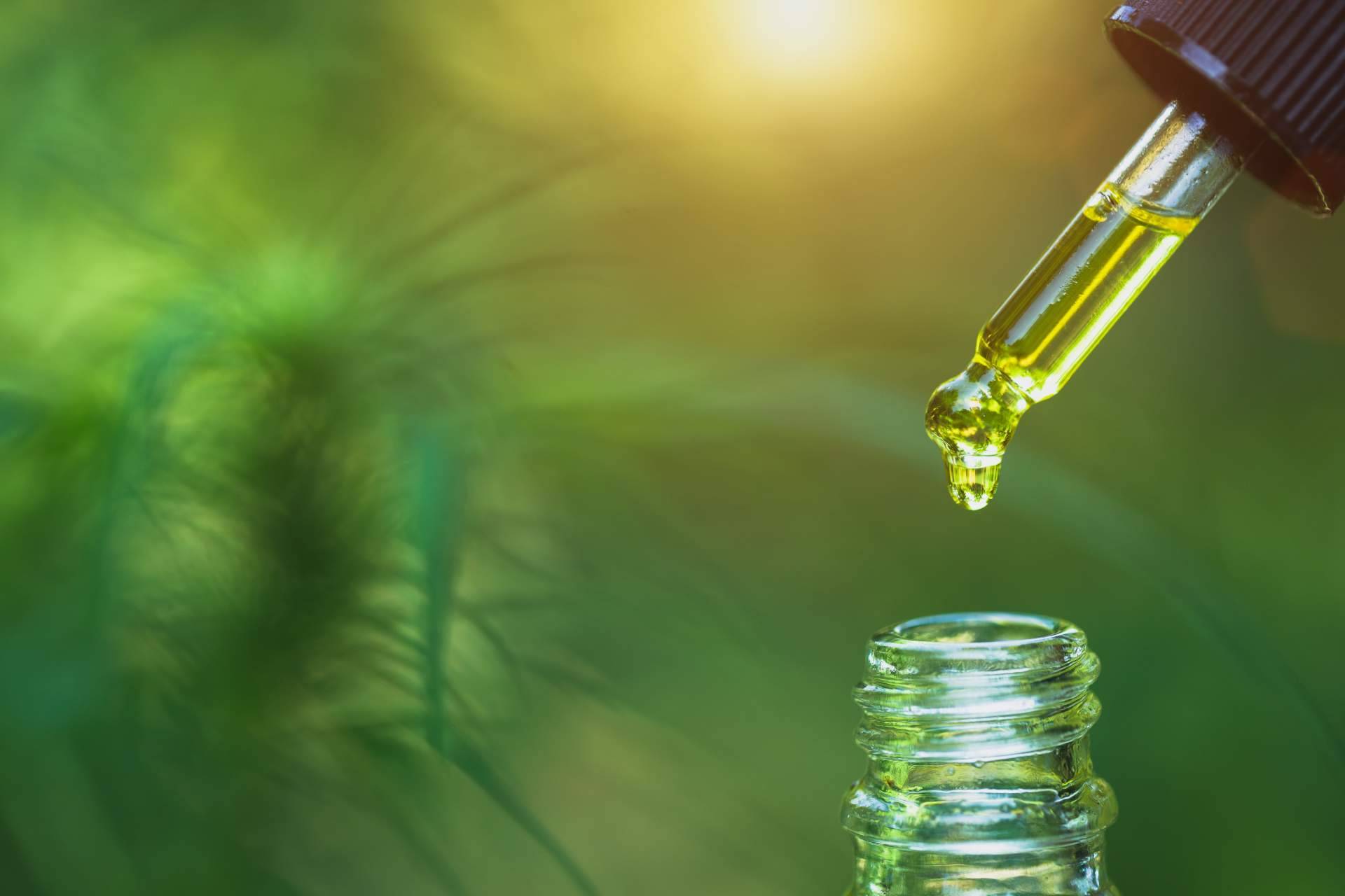 Aceite de CBD para los dolores musculares
