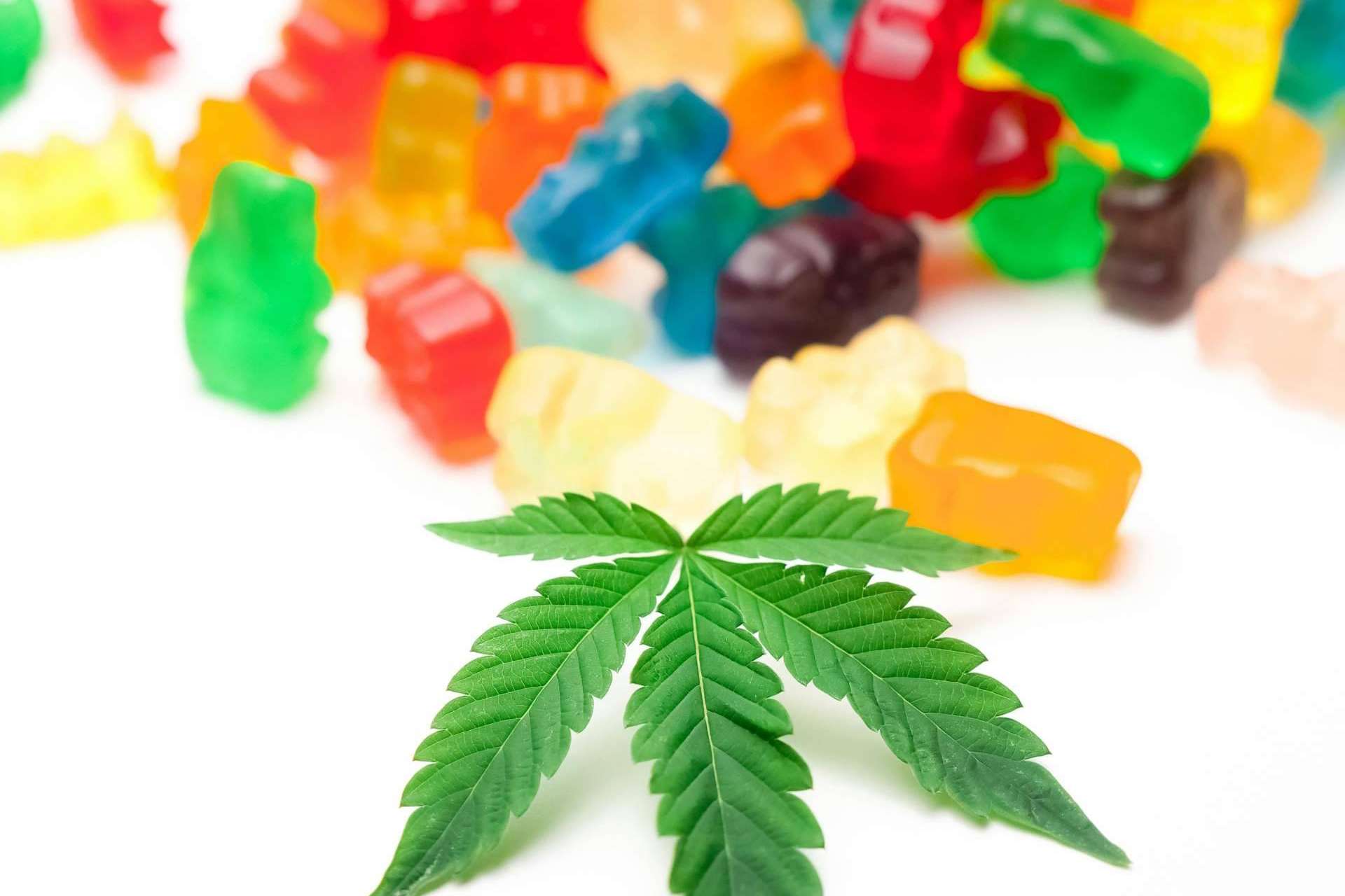 Top 5 comestibles de cannabis en tendencia de marcas americanas
