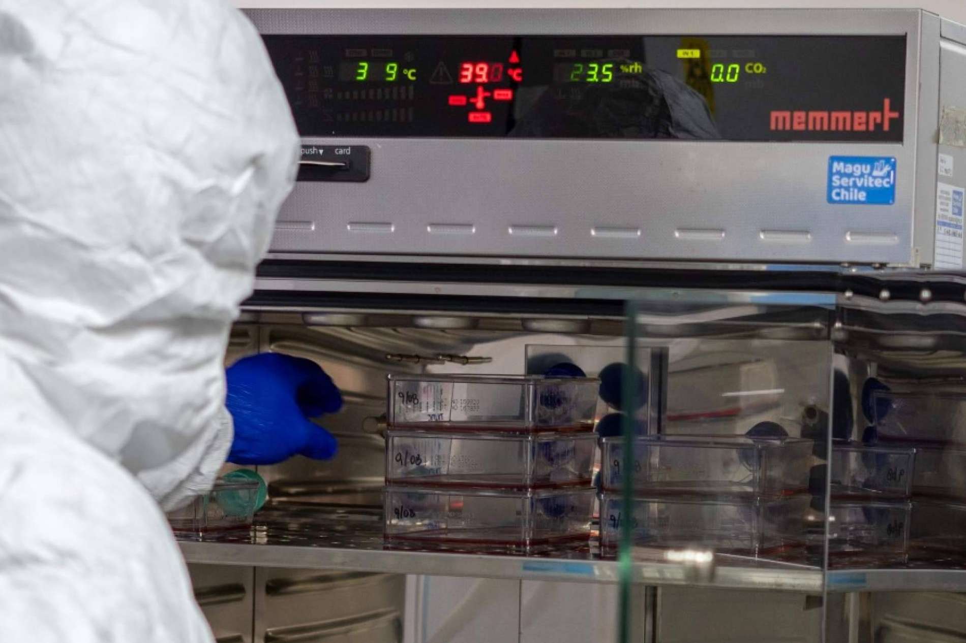 Oncovix redefine el tratamiento oncológico con su innovadora inmunoterapia adaptativa