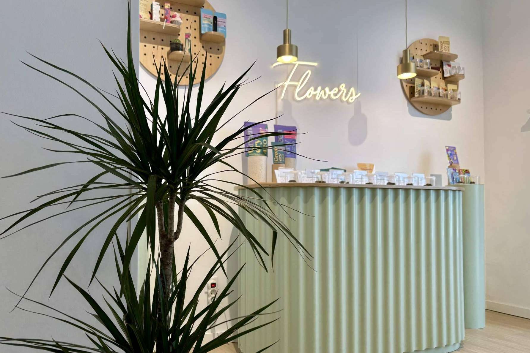 Greenery 420 abre nueva tienda en Madrid Río y refuerza su liderazgo en CBD de calidad