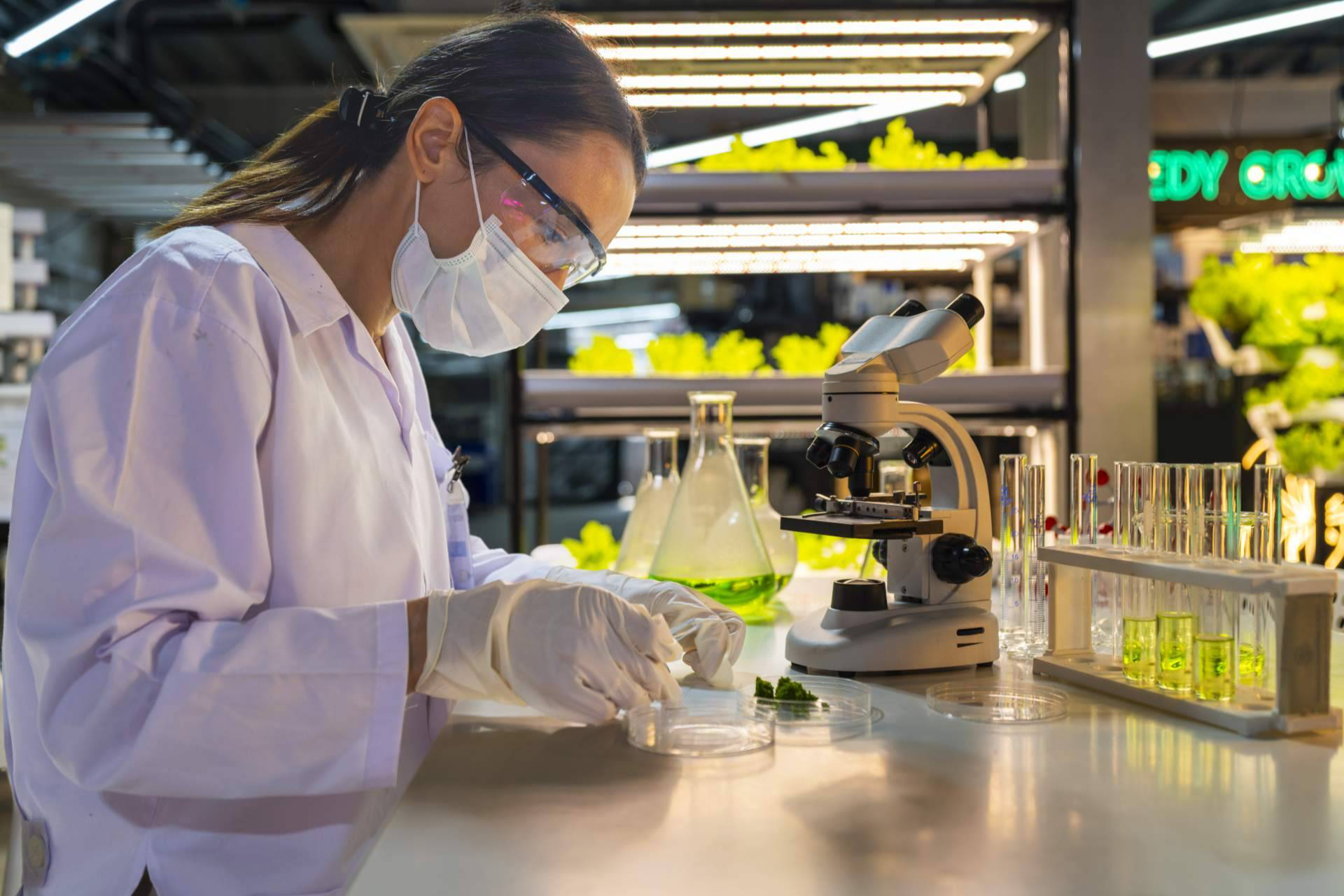 Regenerar para exportar; la nueva estrategia agrícola que nace en Argentina