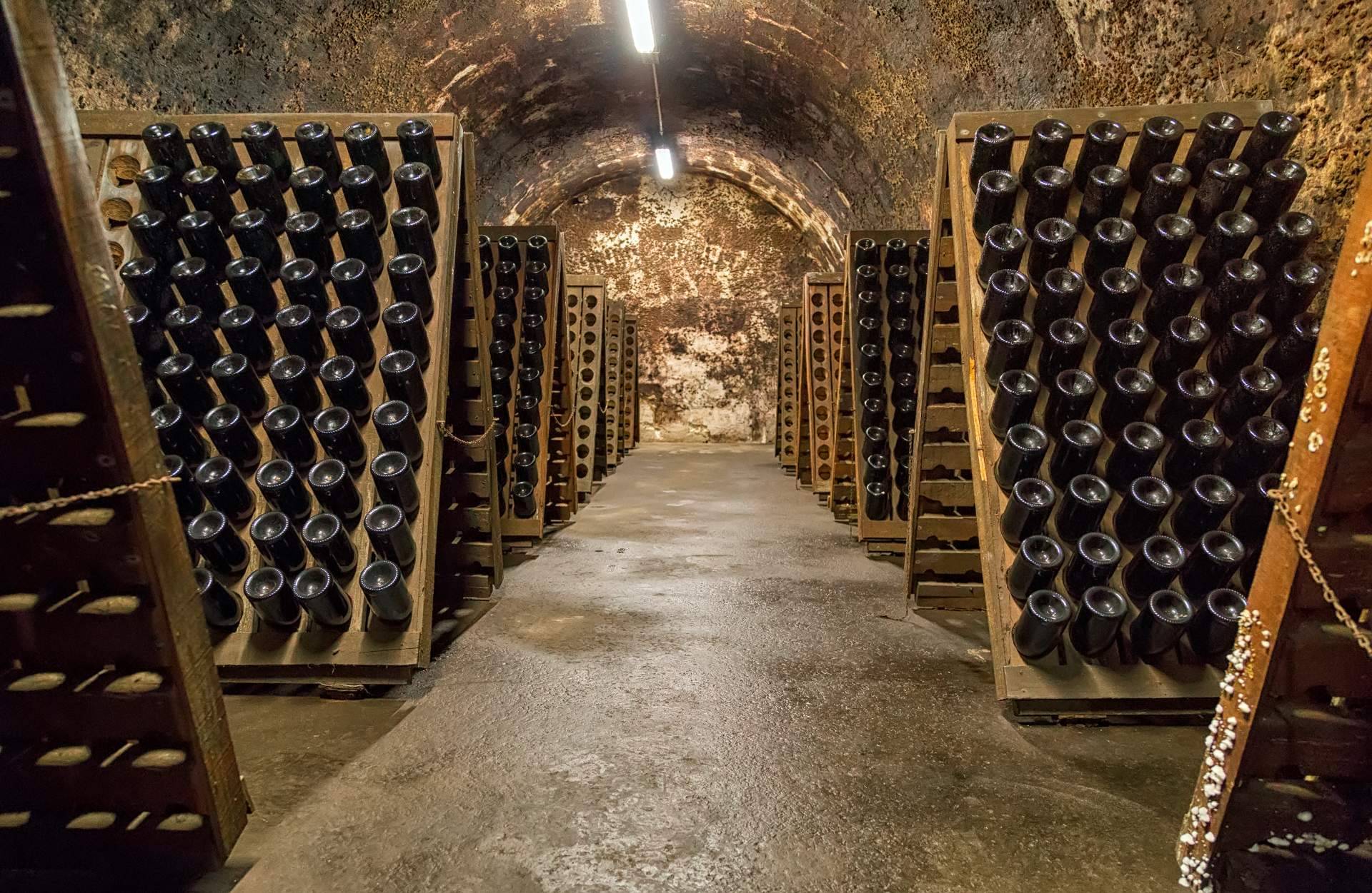 Naturelovers Wines impulsa el consumo de vinos y cavas ecológicos de pequeños productores